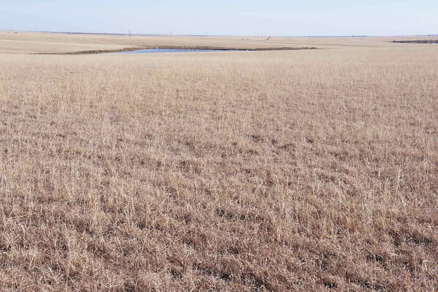 Wilson Ranch property picture 35 of 47