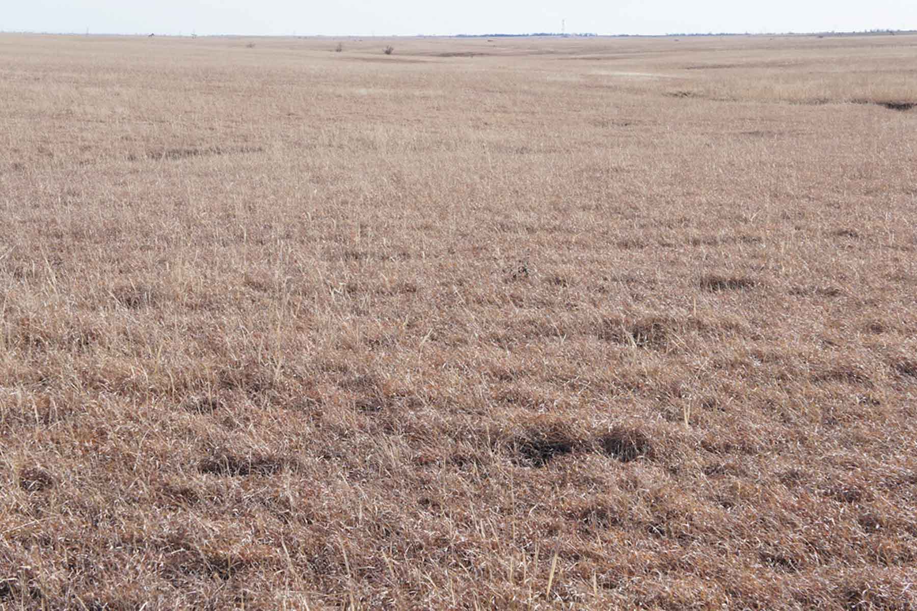 Wilson Ranch property picture 34 of 47