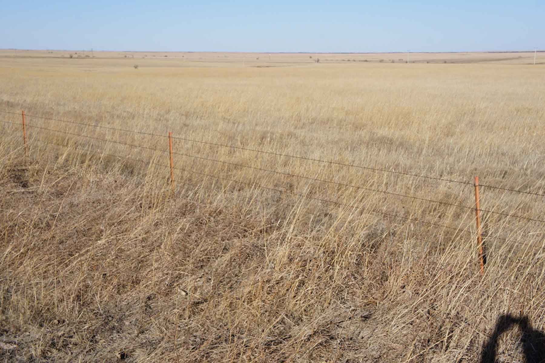 Wilson Ranch property picture 33 of 47