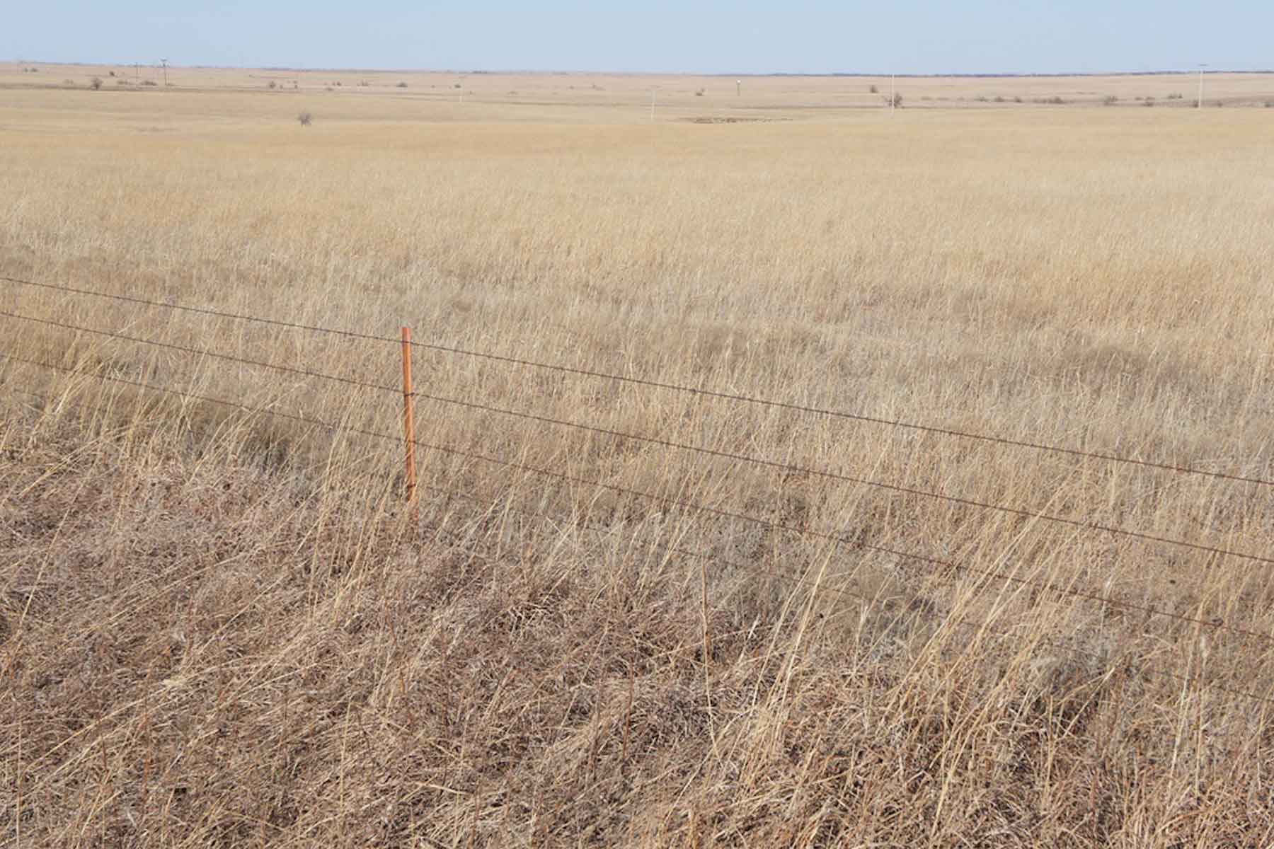 Wilson Ranch property picture 32 of 47