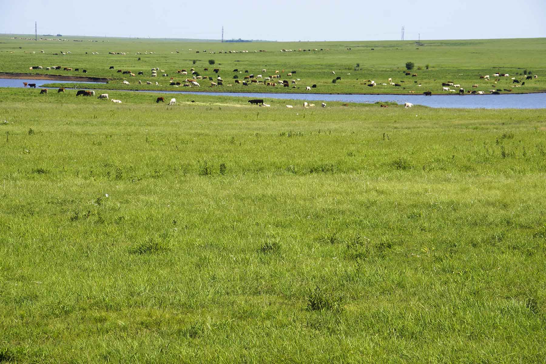 Wilson Ranch property picture 17 of 47