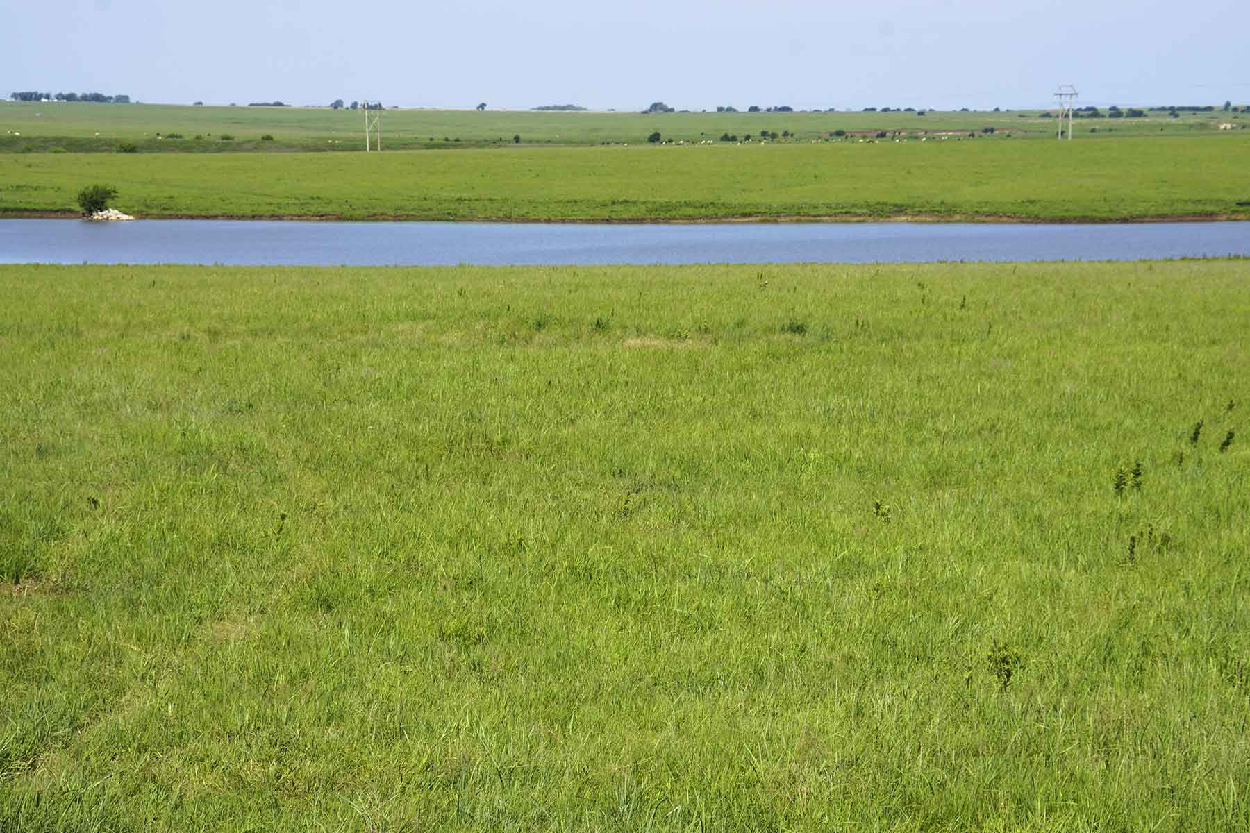 Wilson Ranch property picture 16 of 47