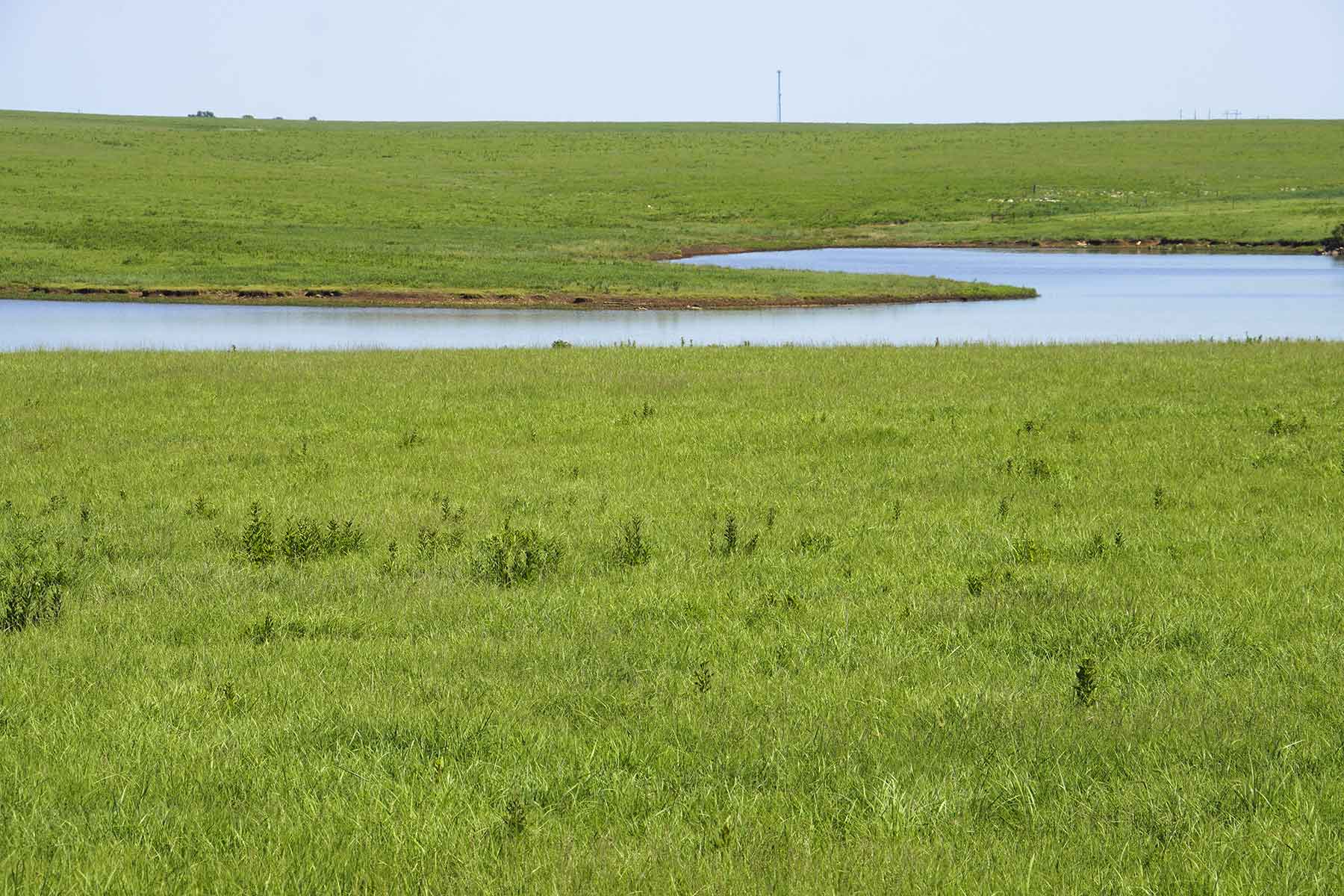 Wilson Ranch property picture 14 of 47