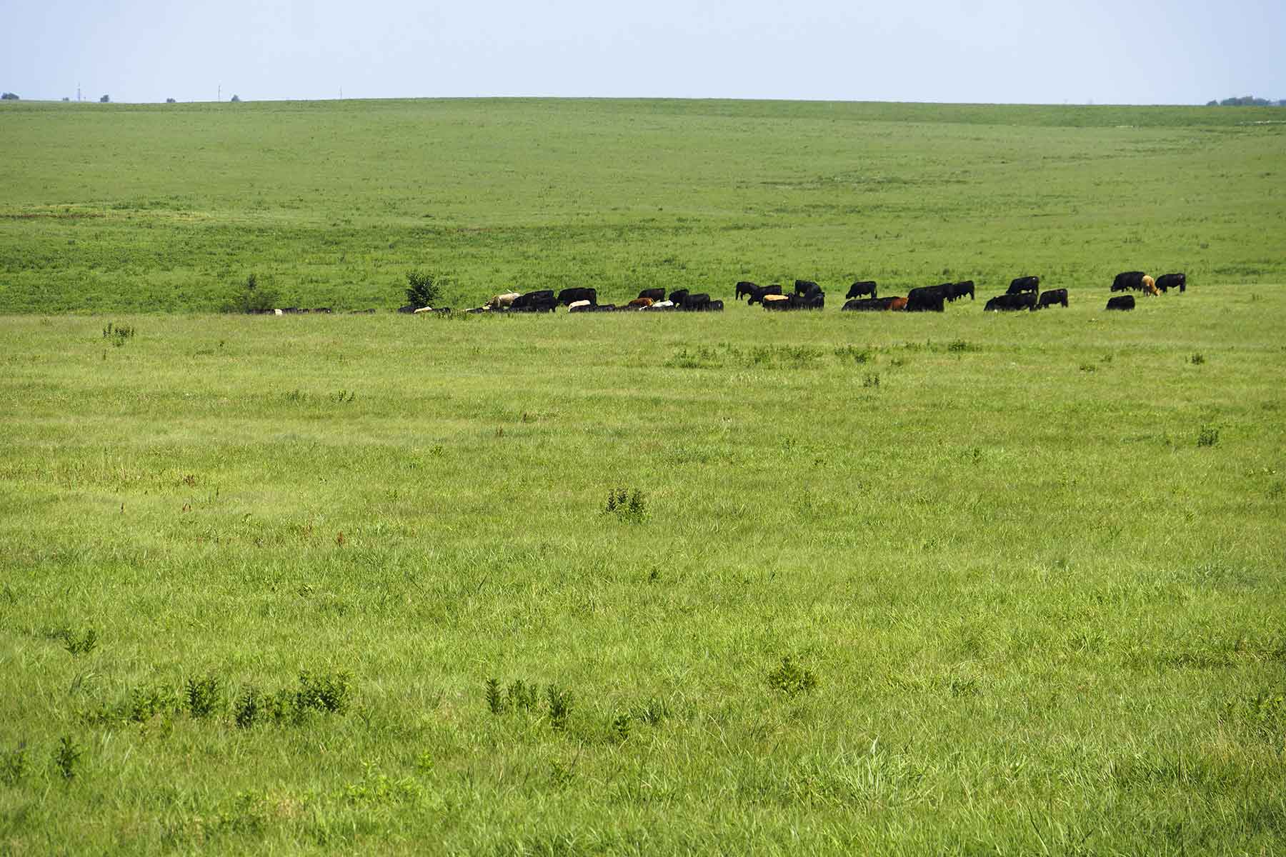 Wilson Ranch property picture 13 of 47