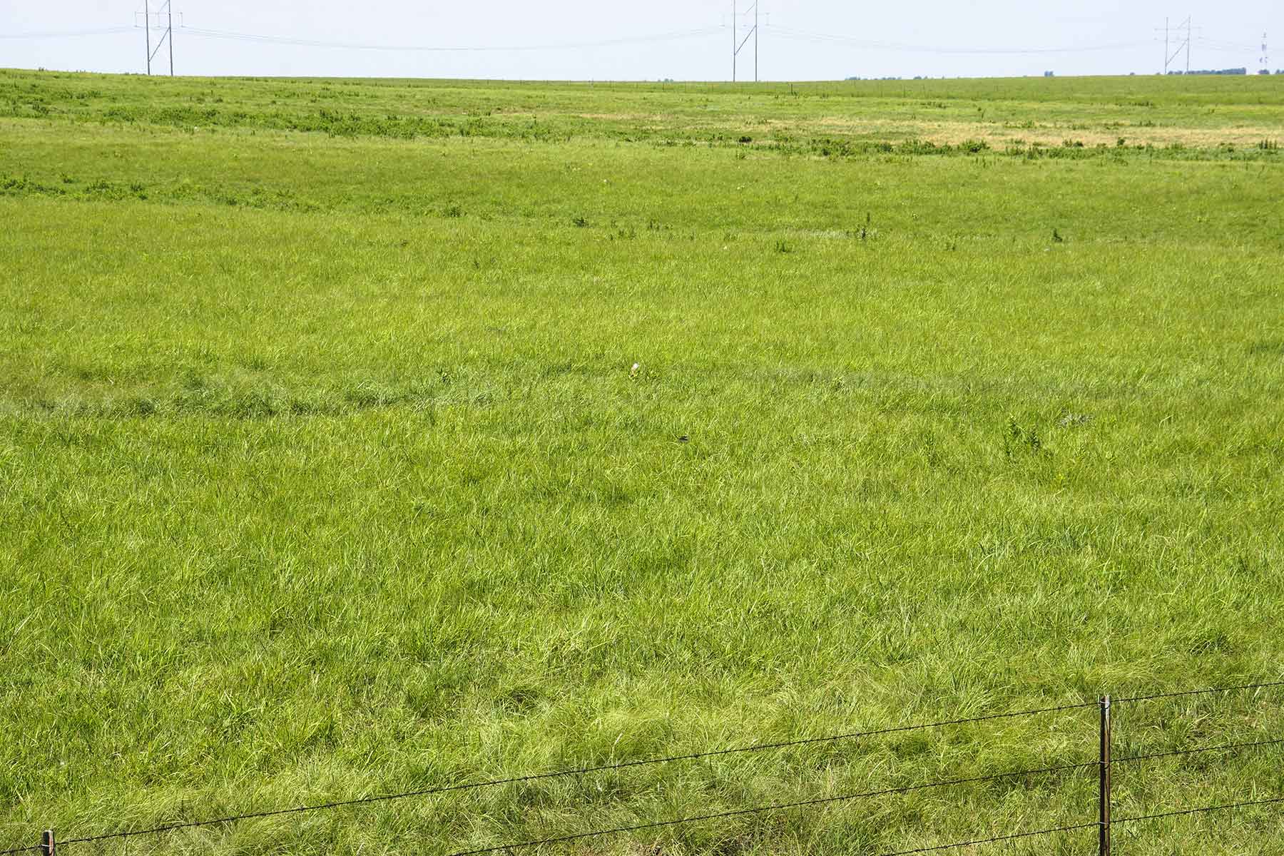 Wilson Ranch property picture 12 of 47