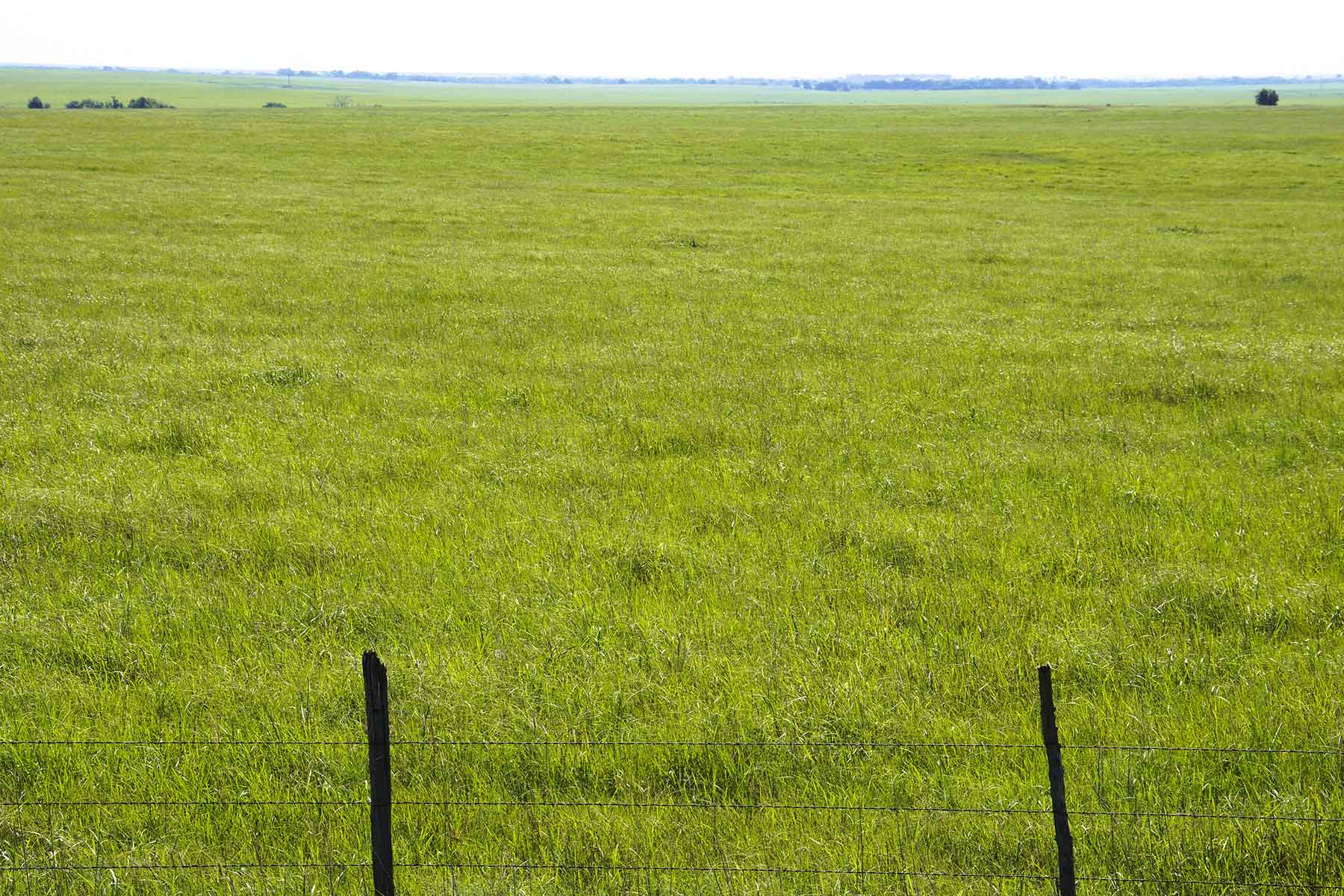 Wilson Ranch property picture 9 of 47