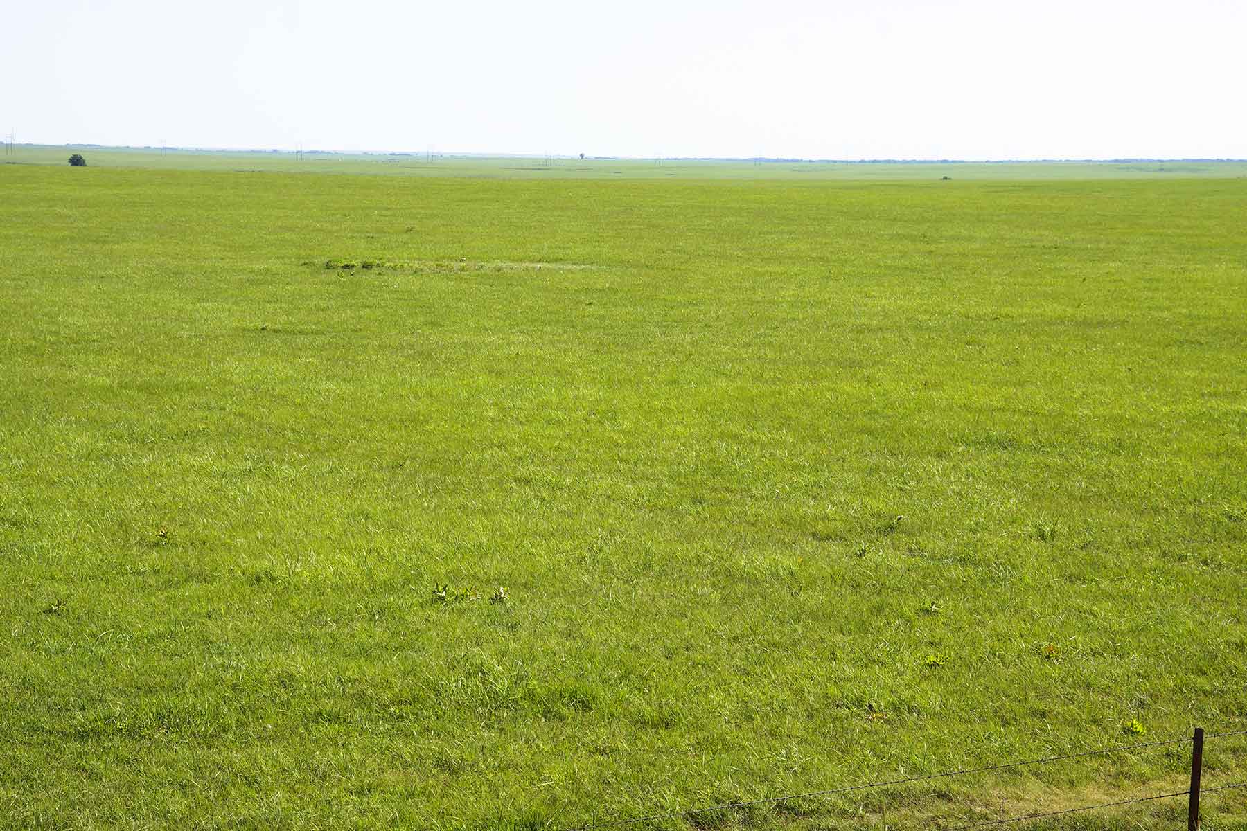 Wilson Ranch property picture 8 of 47