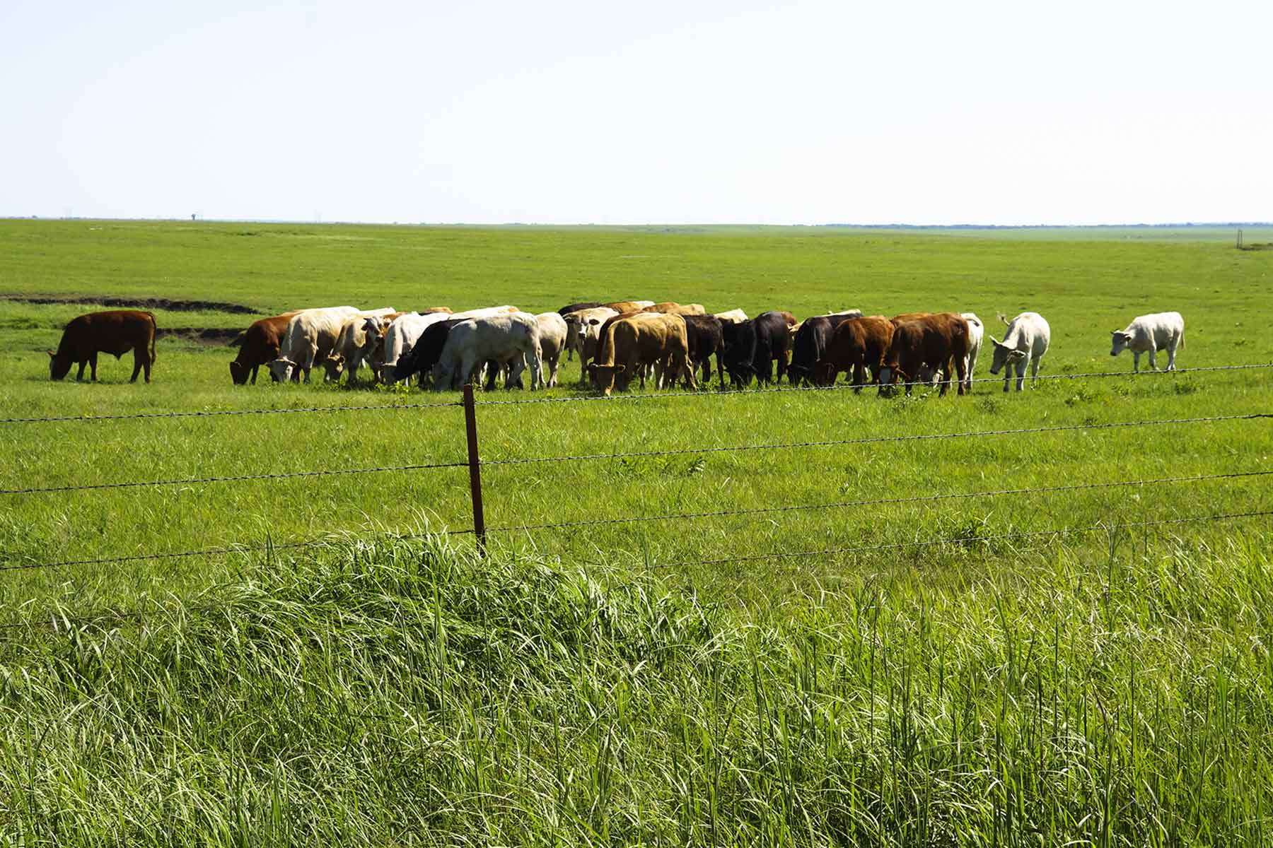 Wilson Ranch property picture 7 of 47