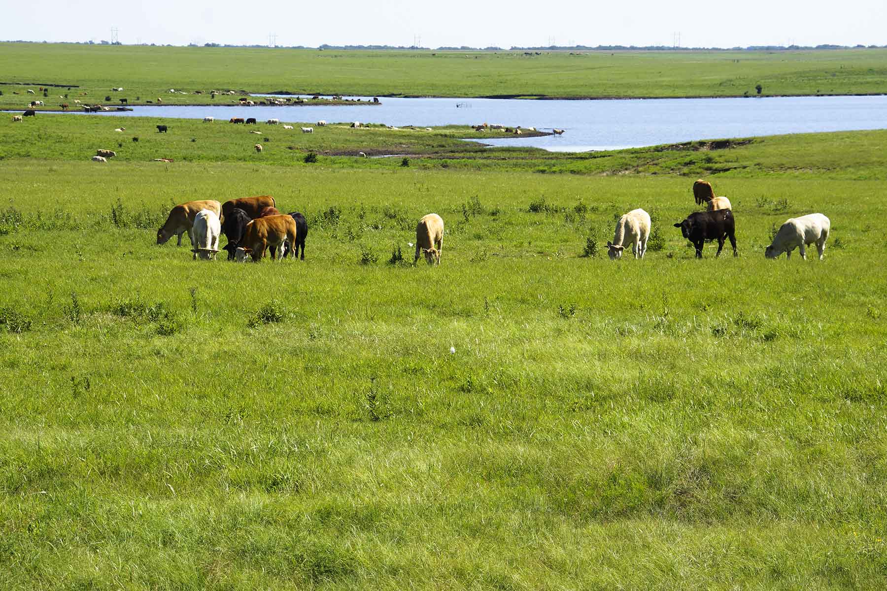 Wilson Ranch property picture 6 of 47