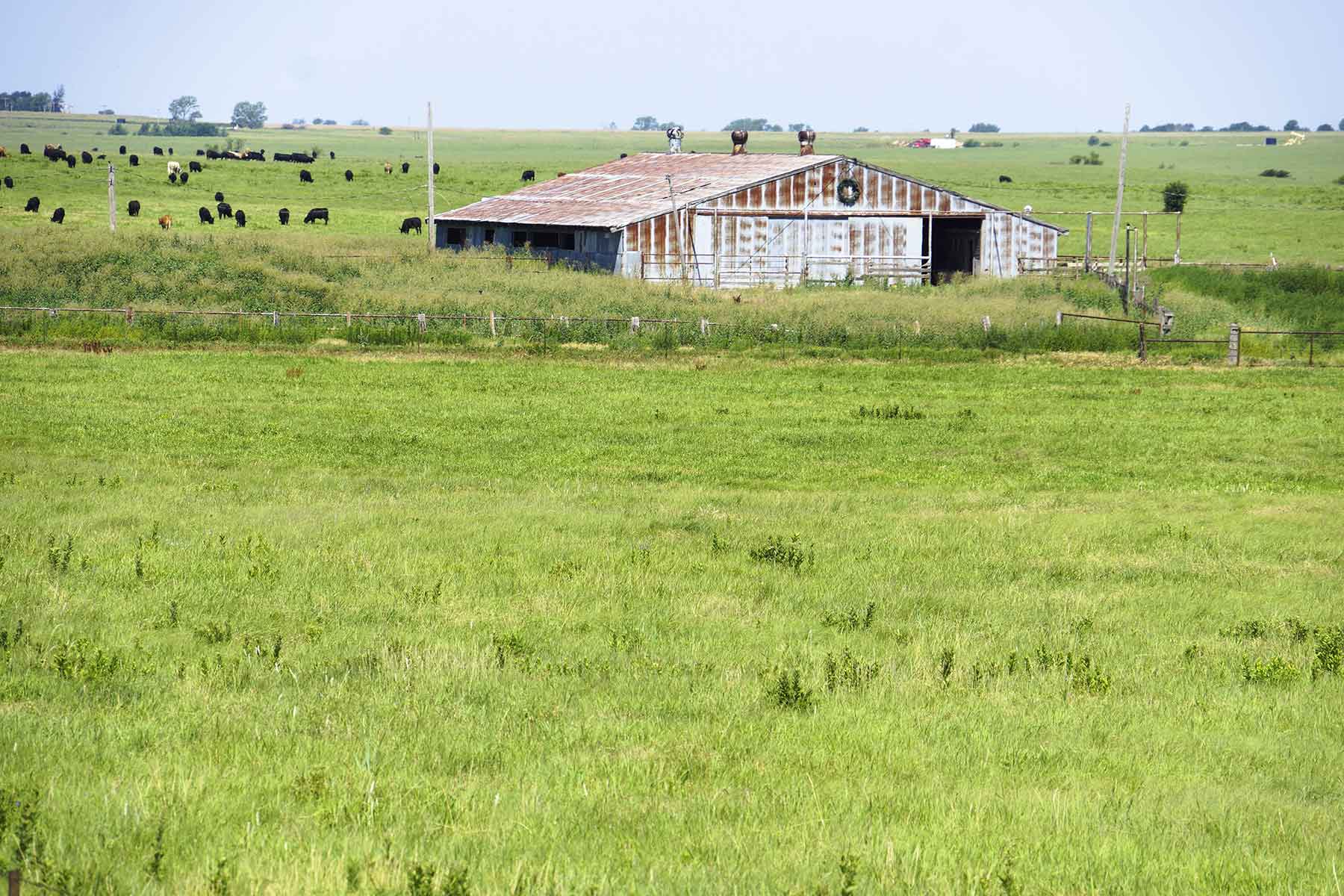 Wilson Ranch property picture 3 of 47