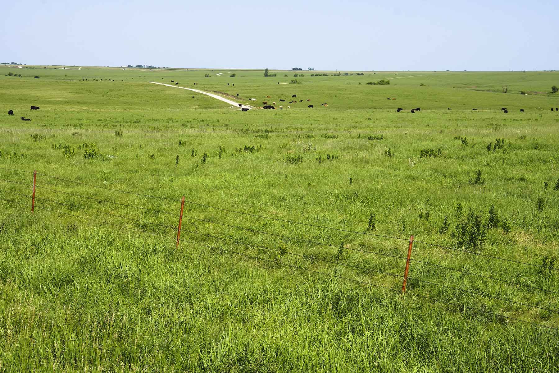 Wilson Ranch property picture 30 of 47