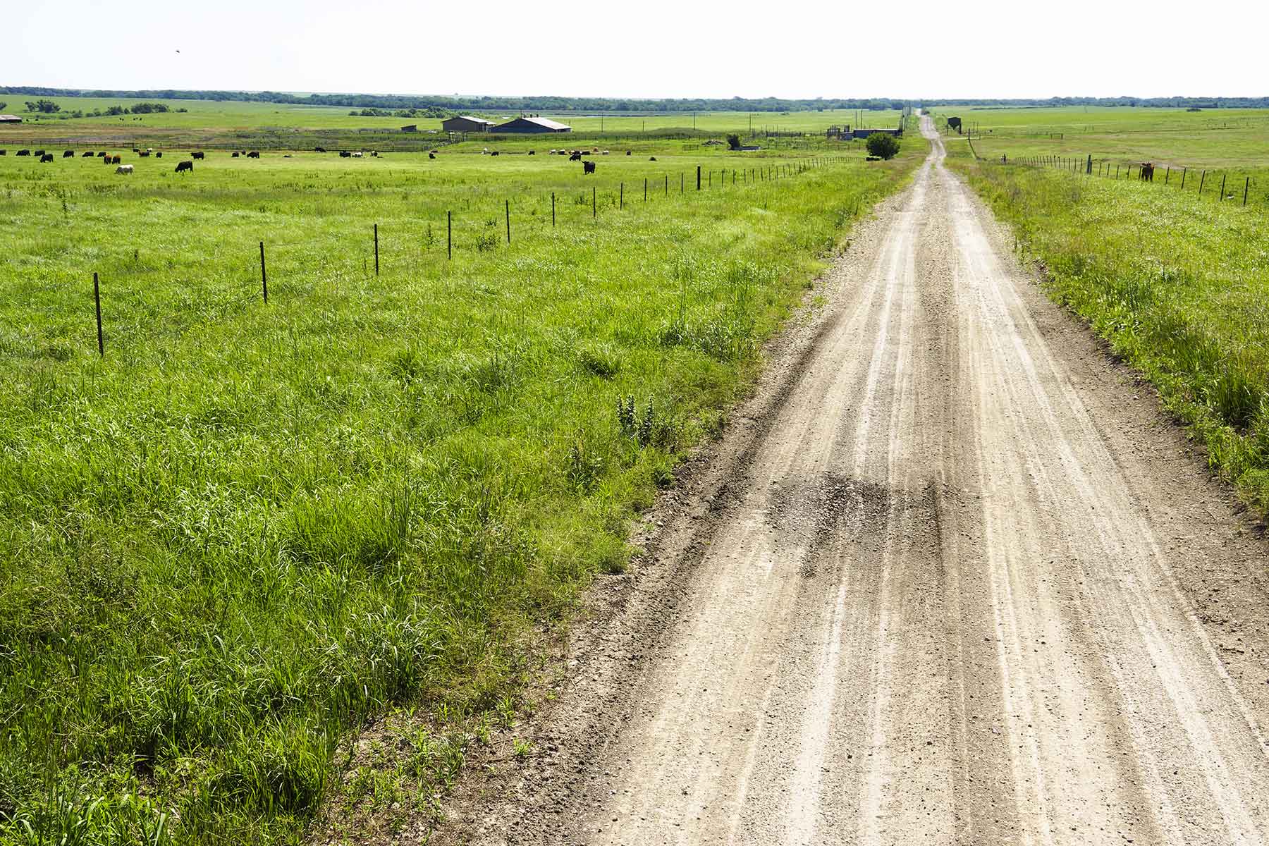 Wilson Ranch property picture 29 of 47