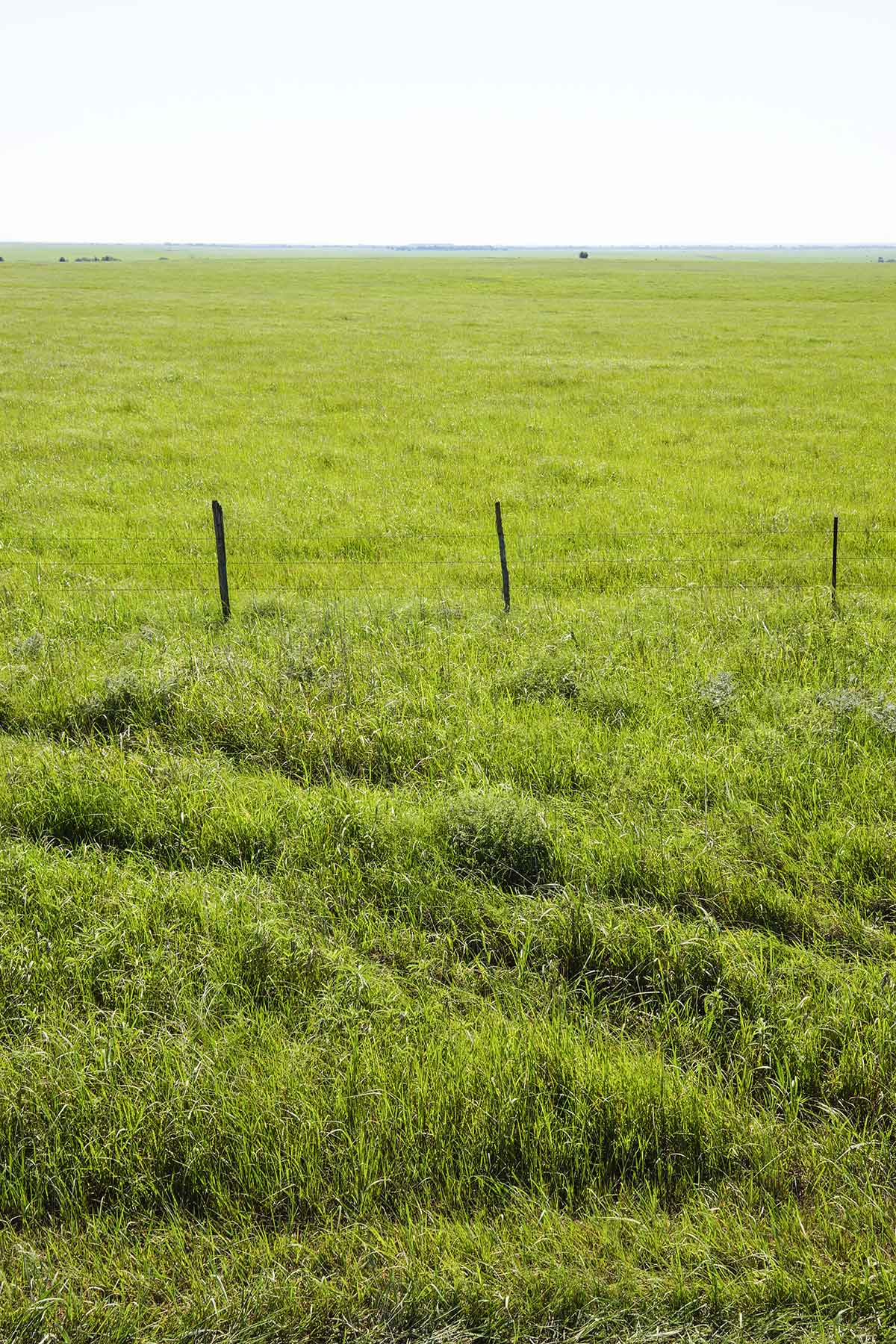 Wilson Ranch property picture 28 of 47