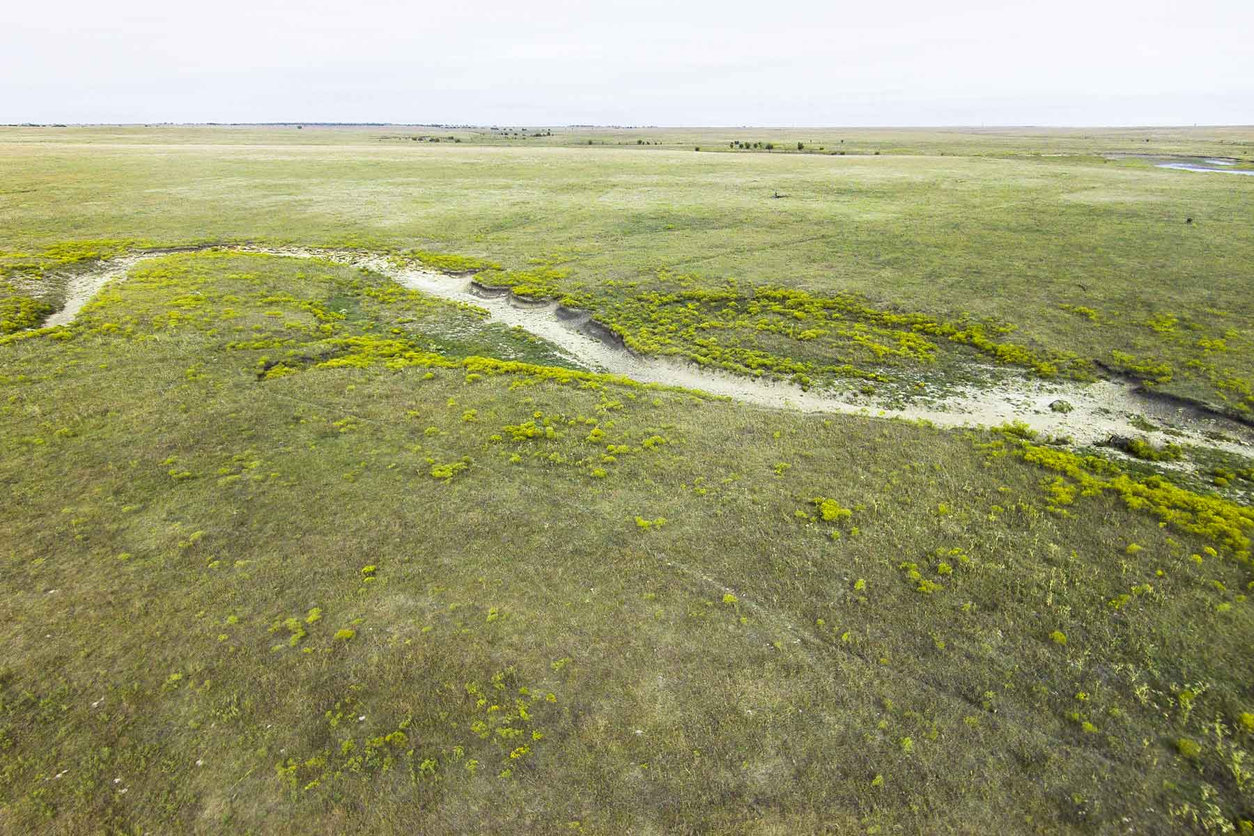 Wilson Ranch property picture 25 of 47