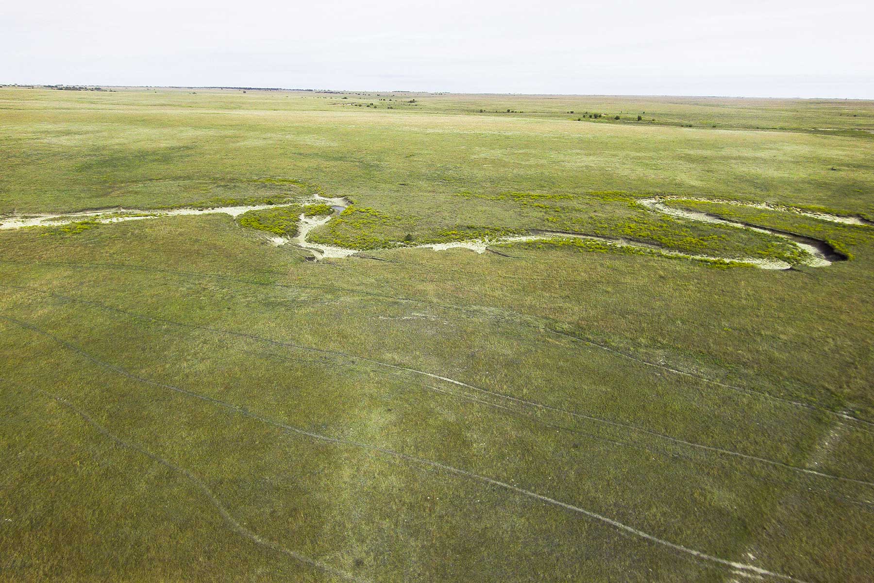 Wilson Ranch property picture 23 of 47