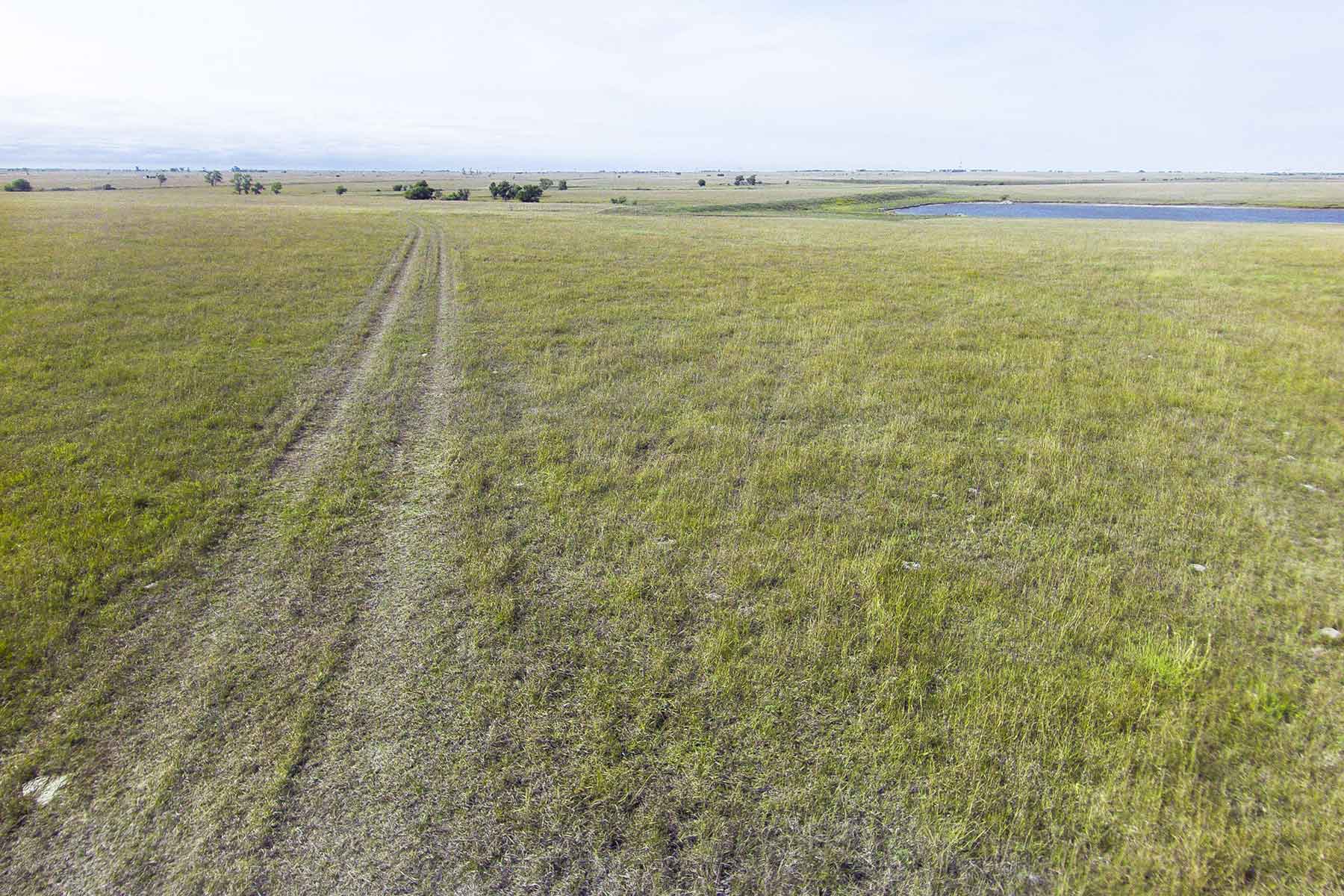 Wilson Ranch property picture 21 of 47