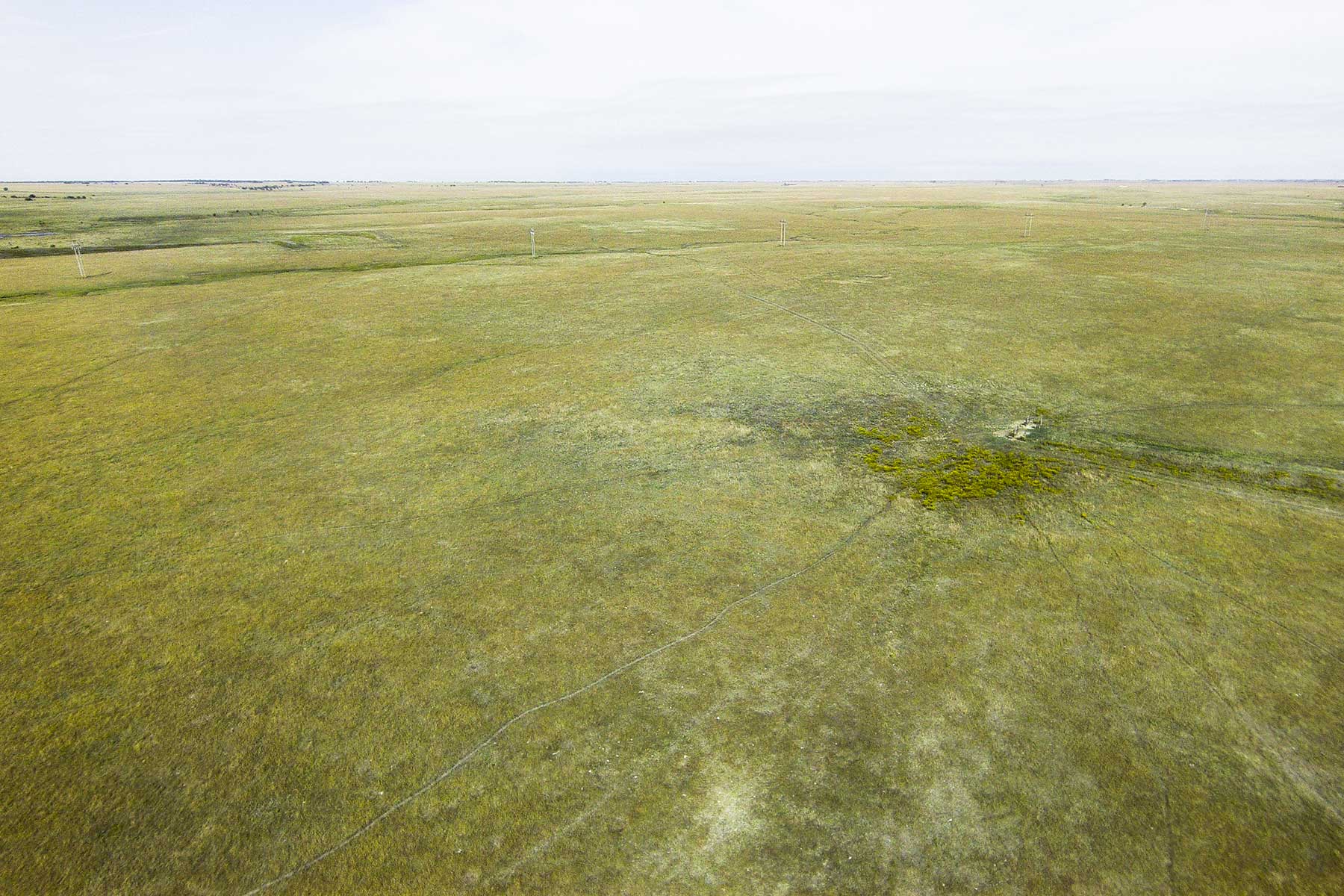 Wilson Ranch property picture 20 of 47