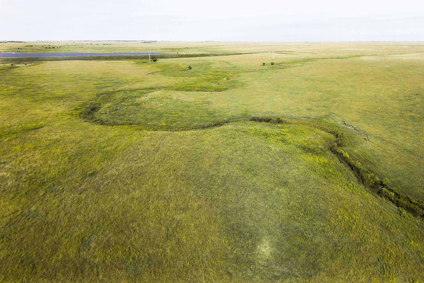 Wilson Ranch property picture 18 of 47