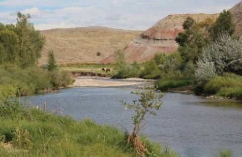 Ernst Paint Rock Creek Ranch property picture 5 of 5