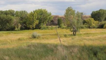 Ernst Paint Rock Creek Ranch property picture 2 of 5