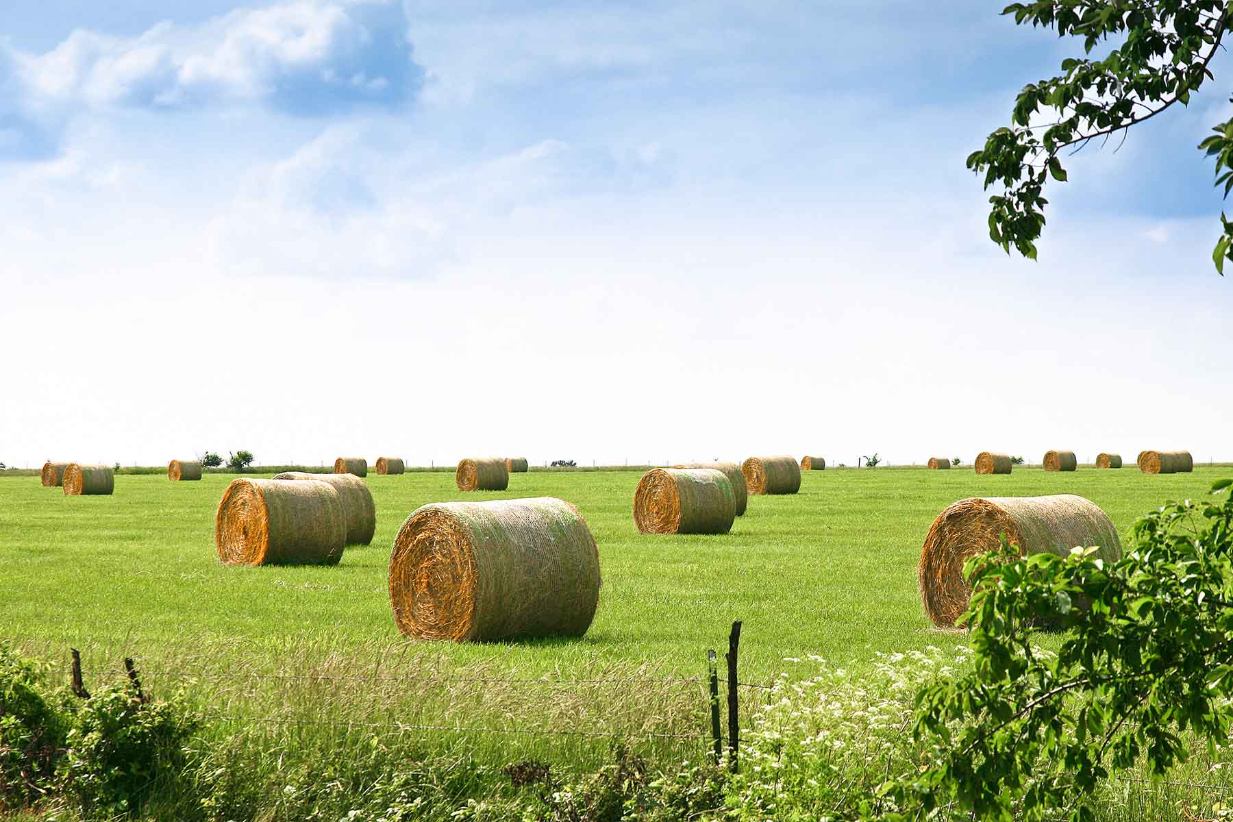 Diamond Bar D Ranch property picture 10 of 10