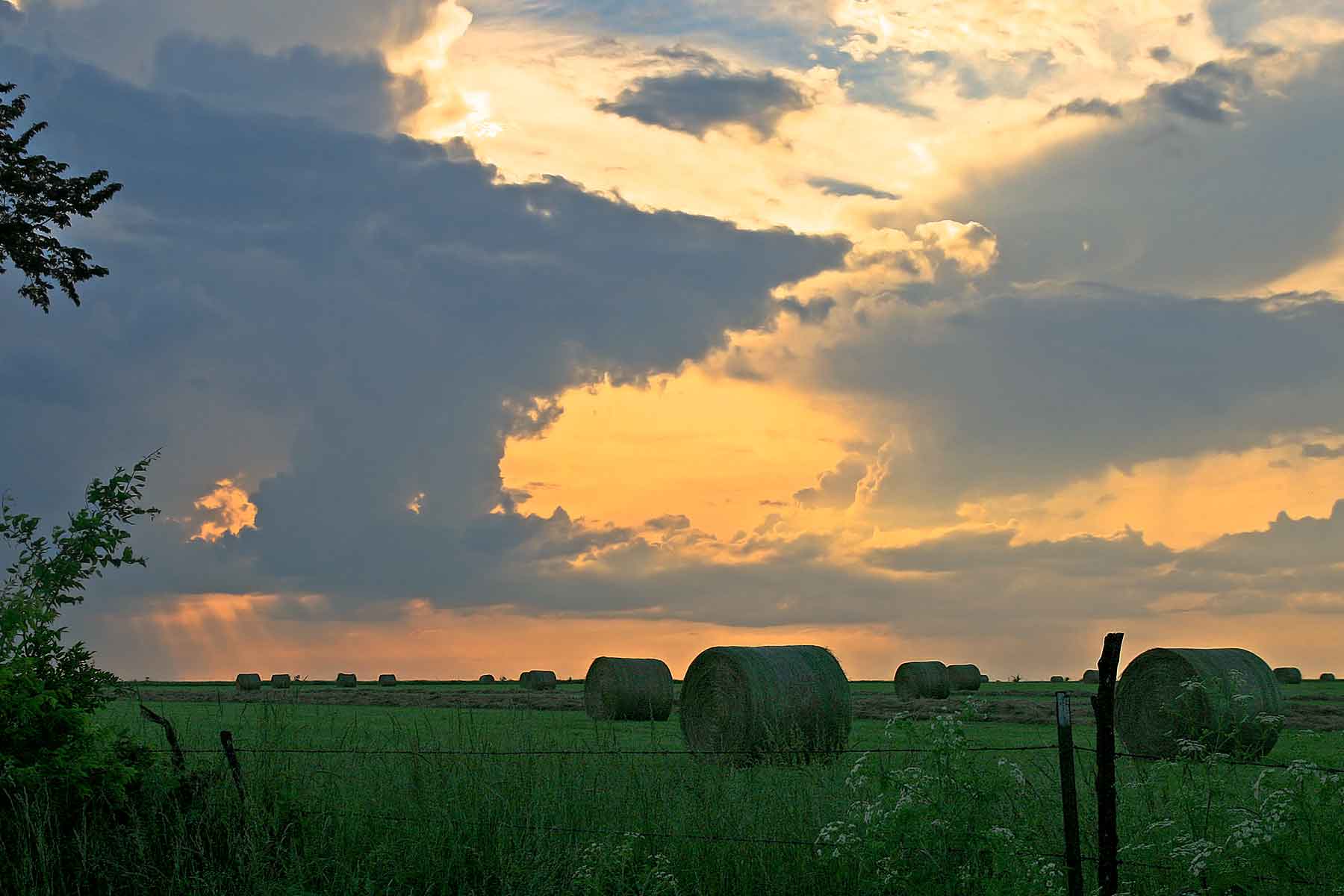 Diamond Bar D Ranch property picture 7 of 10