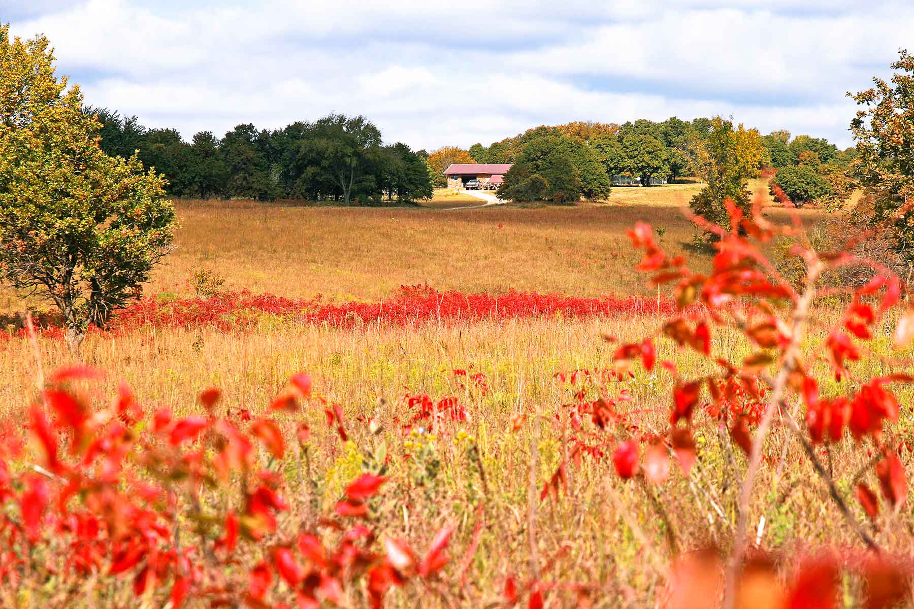 Diamond Bar D Ranch property picture 4 of 10