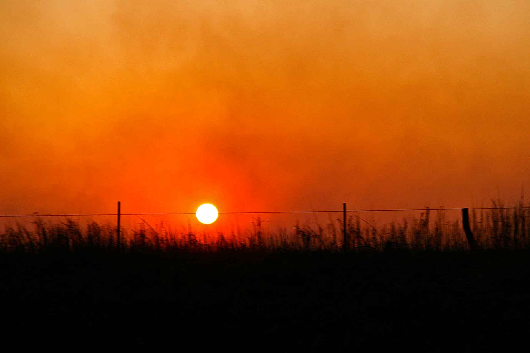 Diamond Bar D Ranch property picture 3 of 10