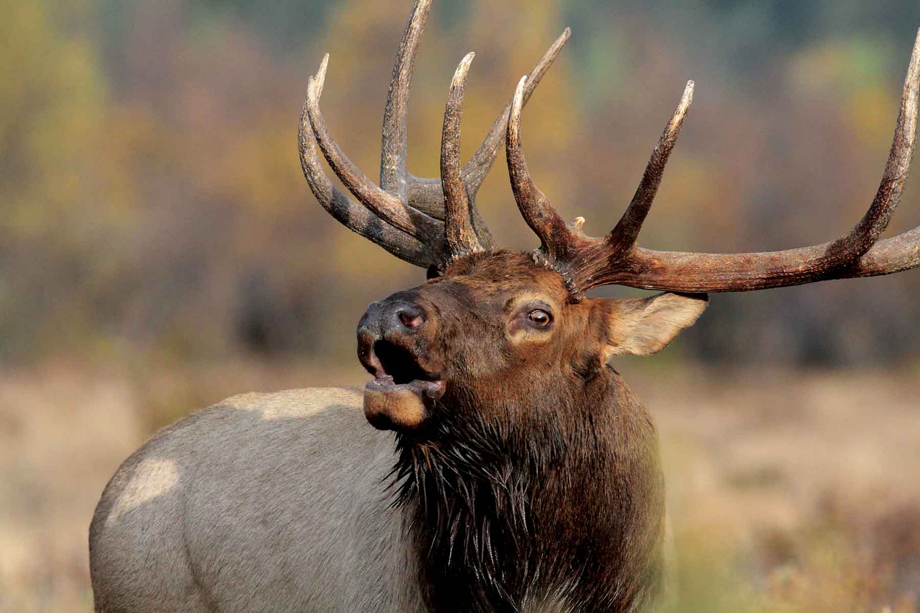 Kessler Canyon property picture 2 of 107