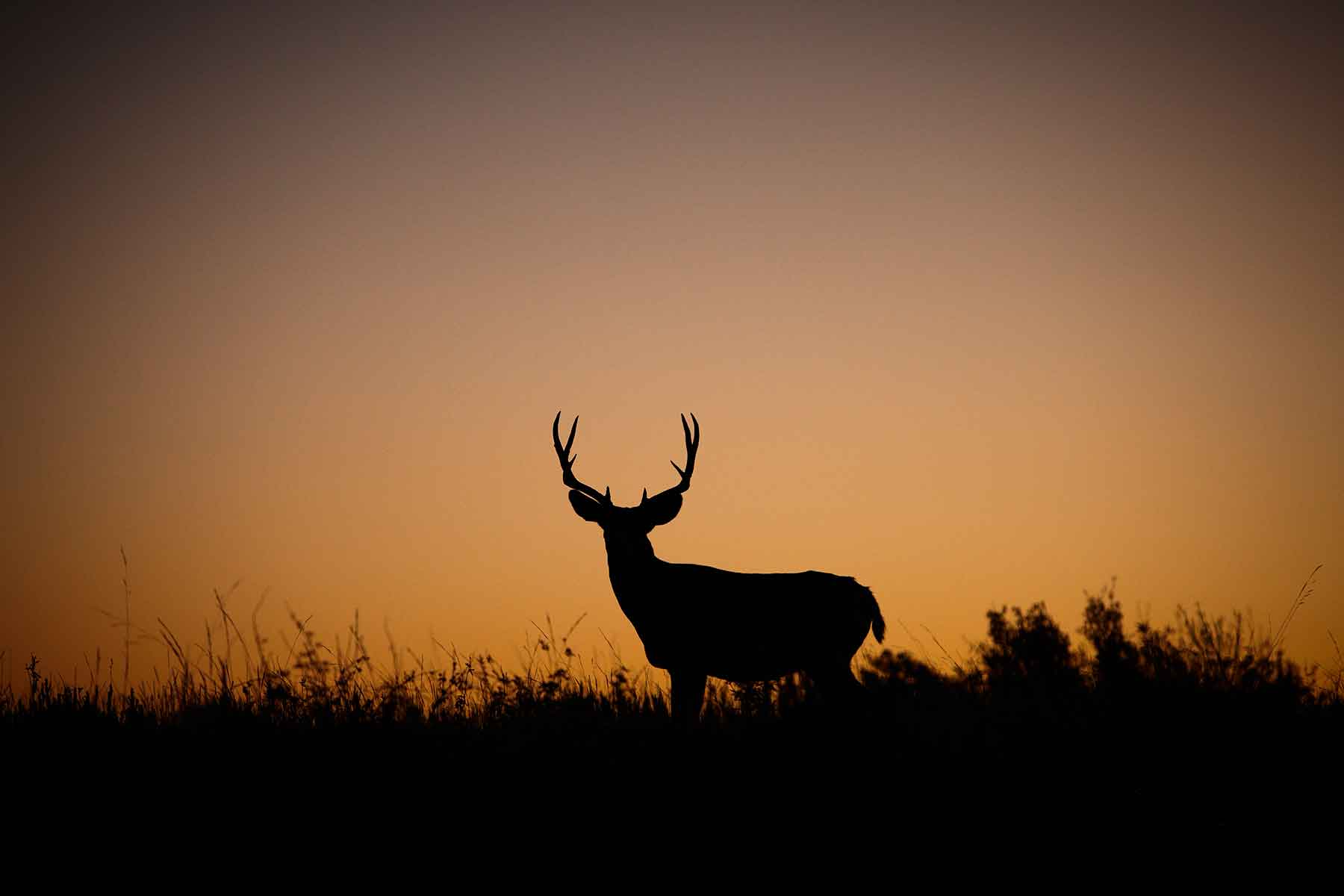 Kessler Canyon property picture 17 of 107