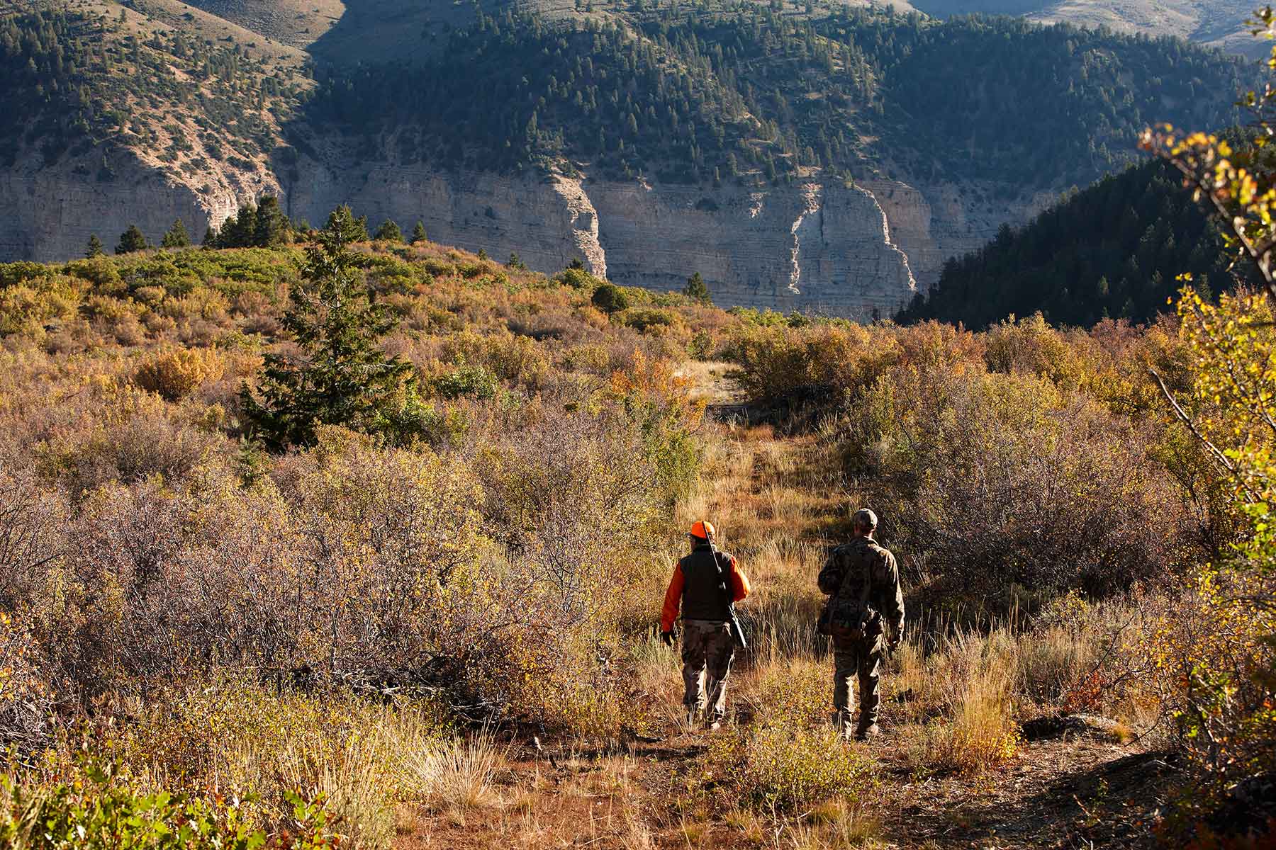 Kessler Canyon property picture 19 of 107