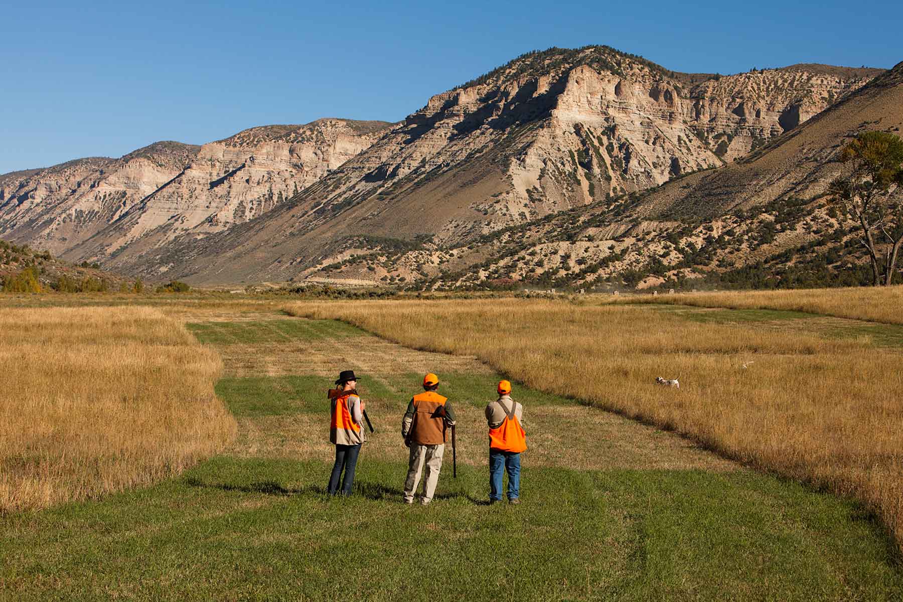Kessler Canyon property picture 21 of 107