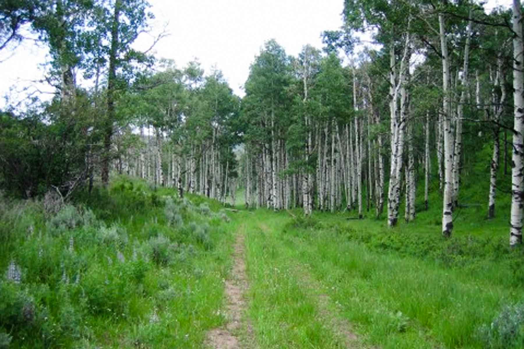 Kessler Canyon property picture 33 of 107