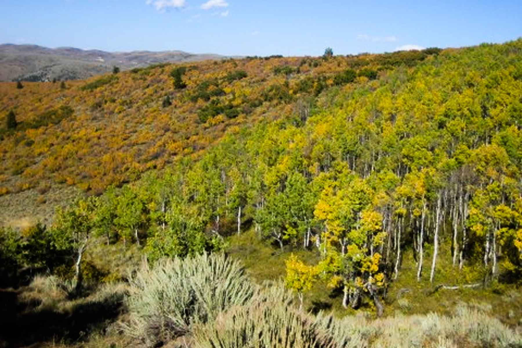 Kessler Canyon property picture 34 of 107