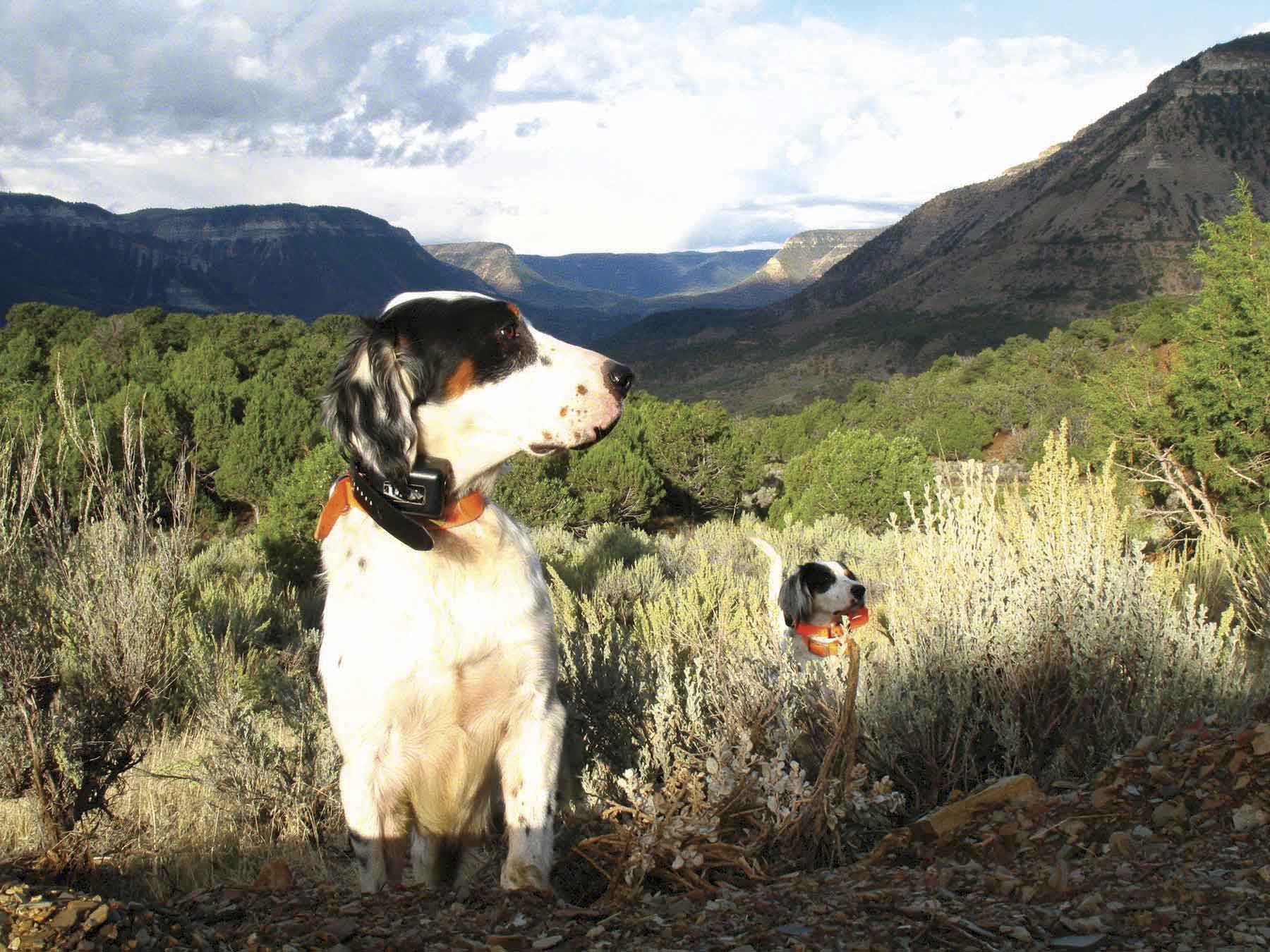 Kessler Canyon property picture 48 of 107