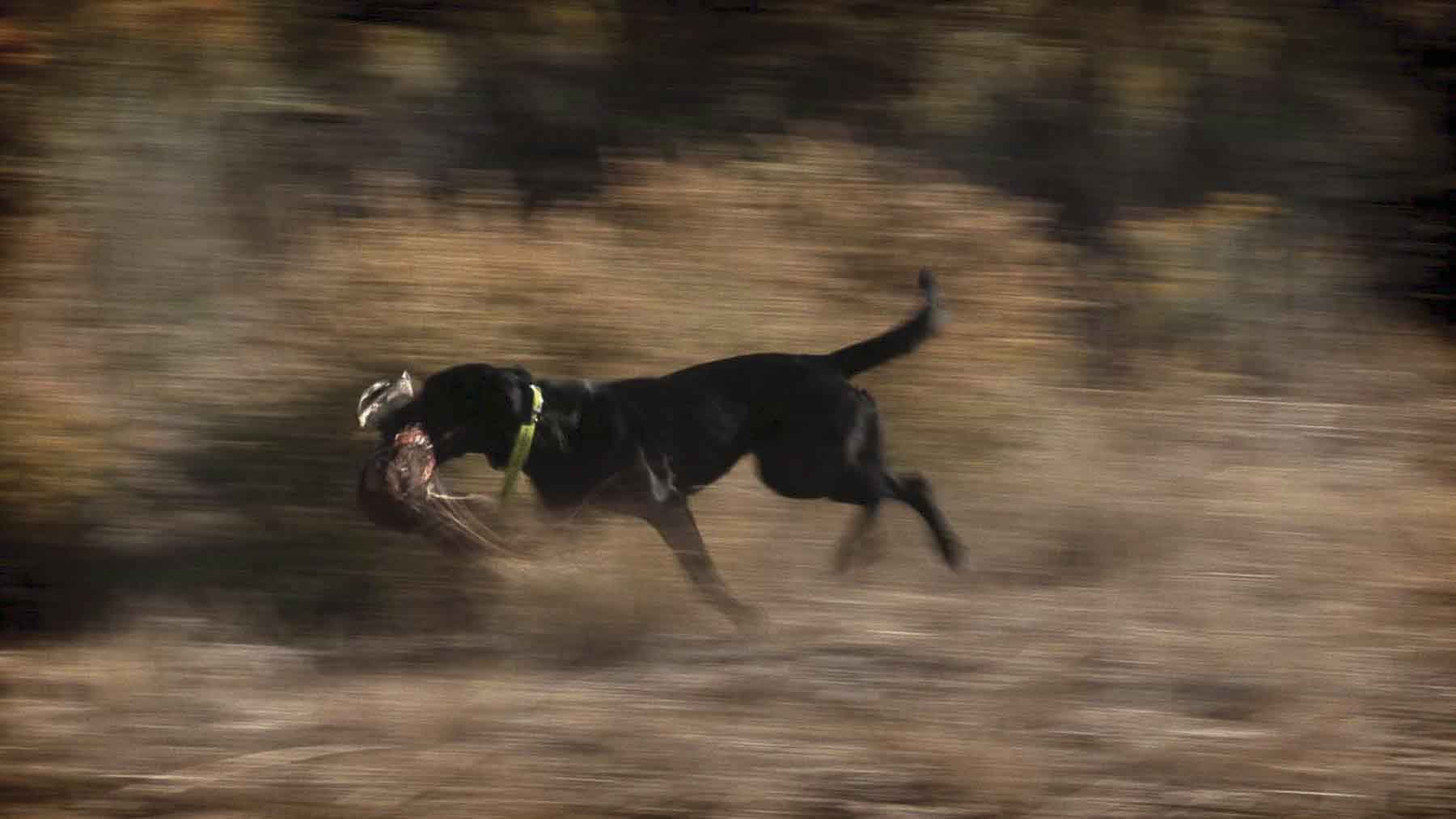 Kessler Canyon property picture 50 of 107