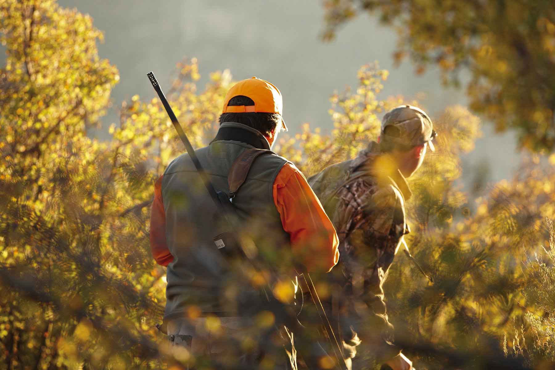 Kessler Canyon property picture 54 of 107