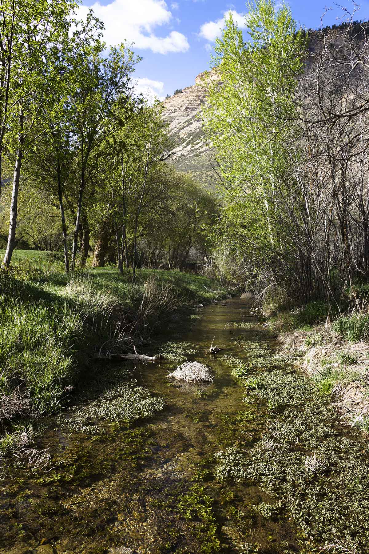Kessler Canyon property picture 78 of 107