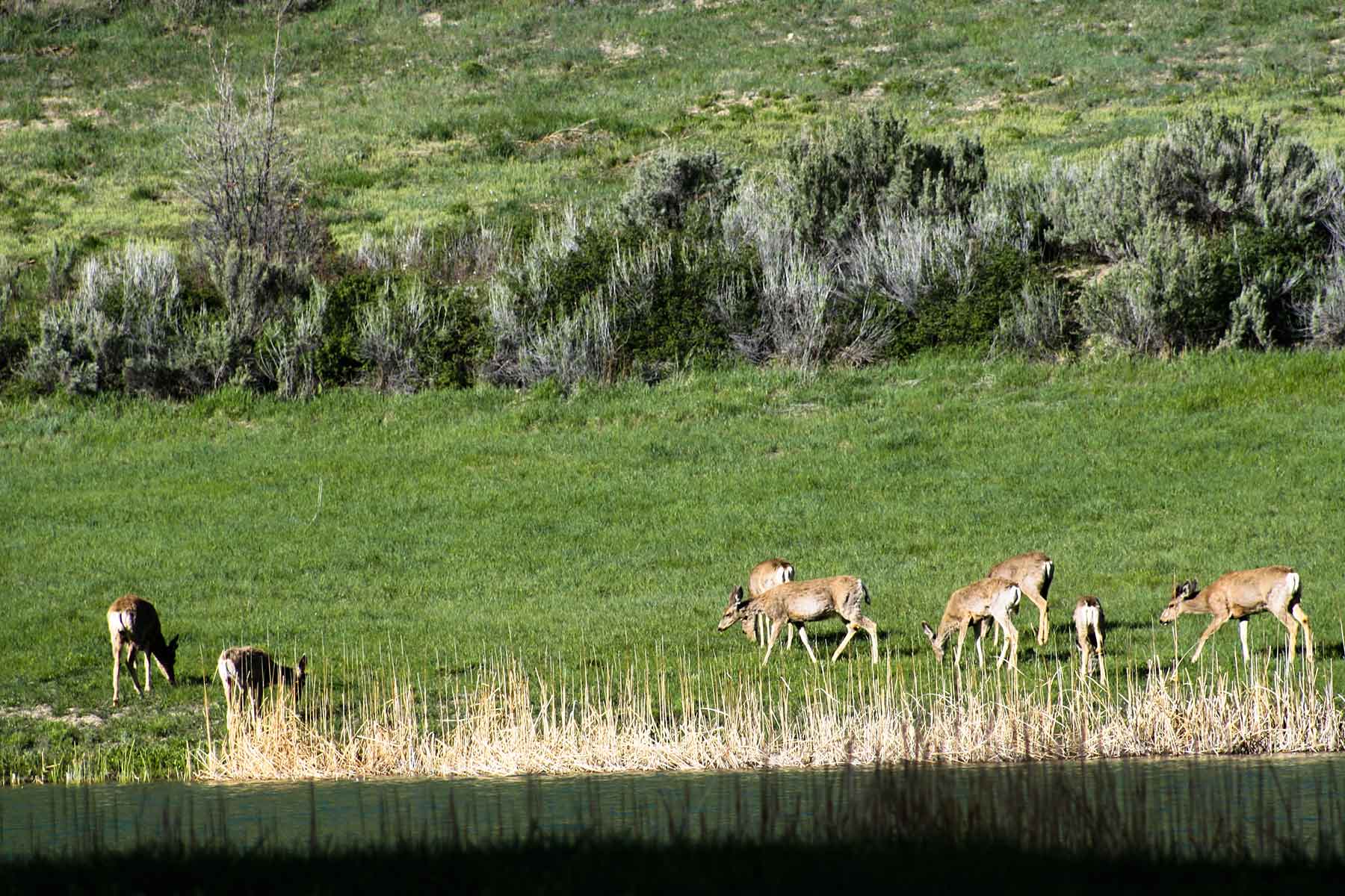 Kessler Canyon property picture 87 of 107