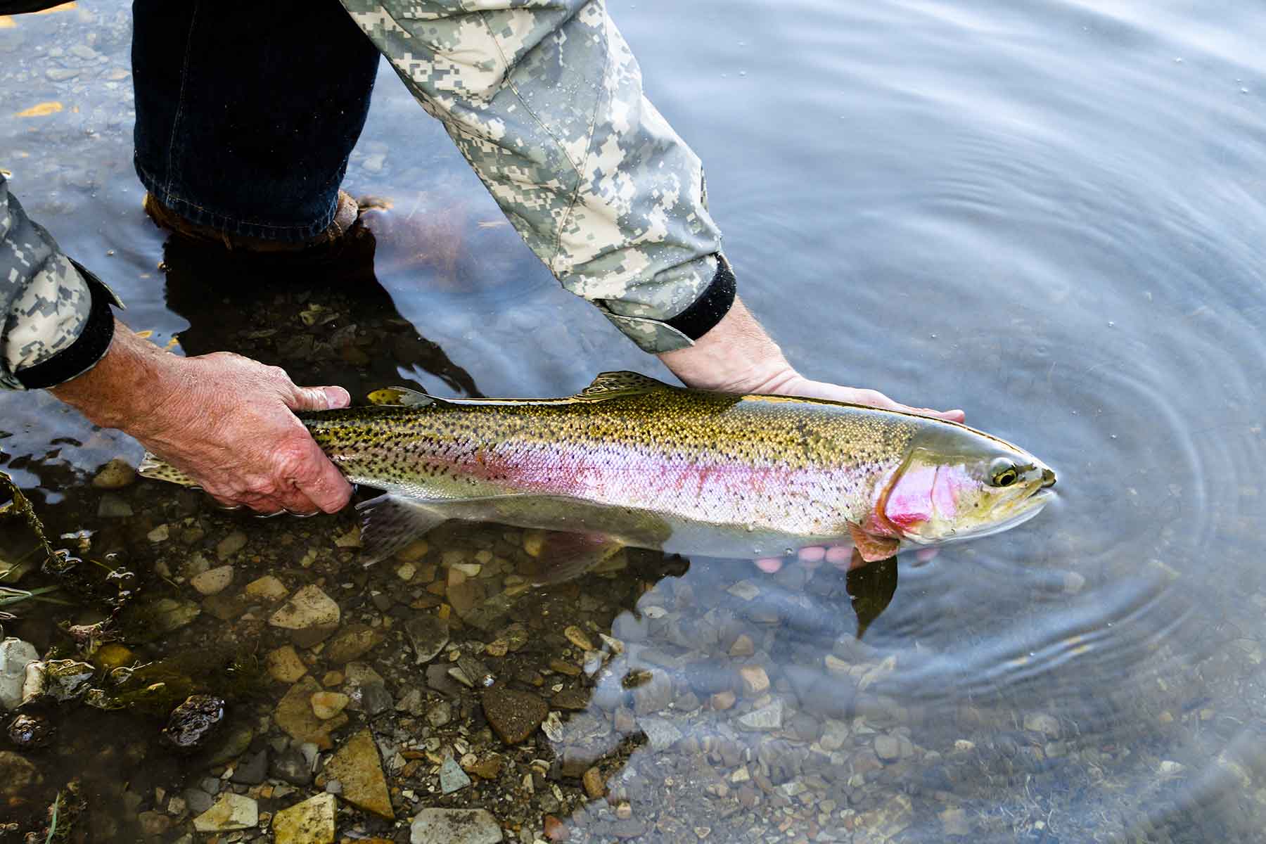 Kessler Canyon property picture 94 of 107
