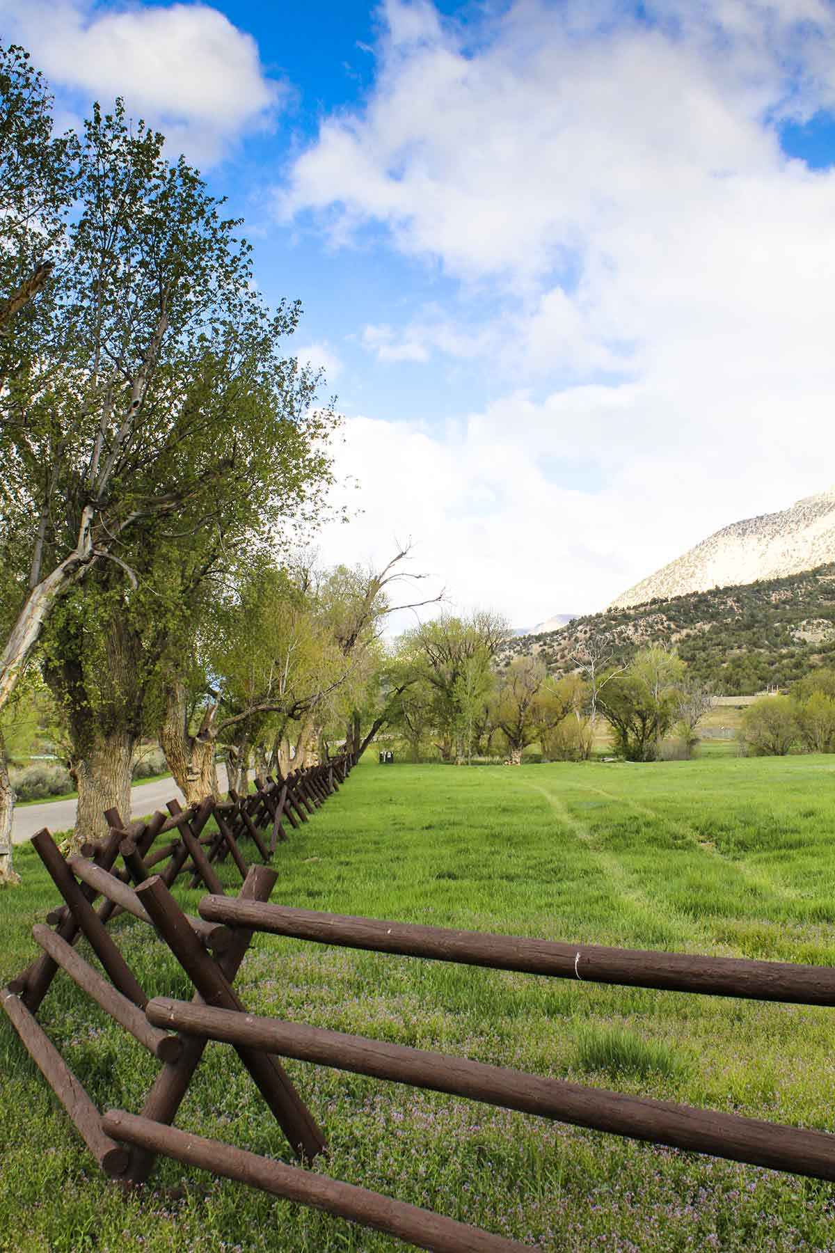Kessler Canyon property picture 95 of 107
