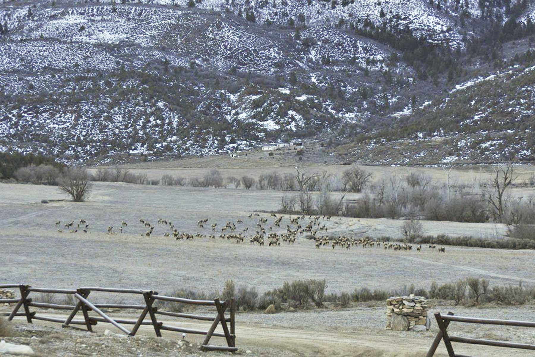 Kessler Canyon property picture 98 of 107