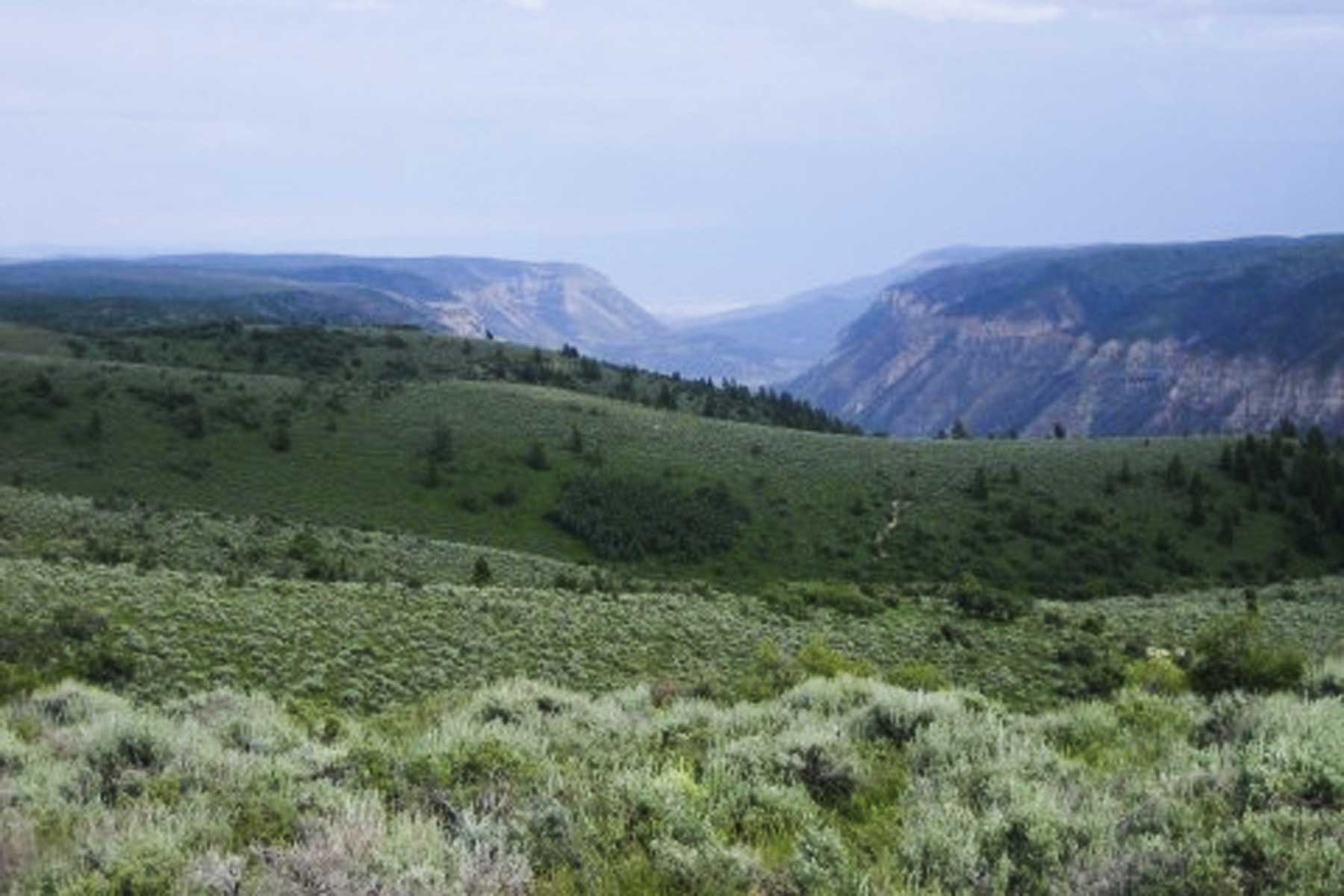 Kessler Canyon property picture 102 of 107