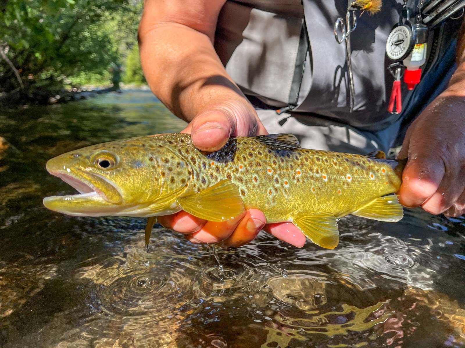 Twisted Fork at Rock Creek property picture 11 of 77