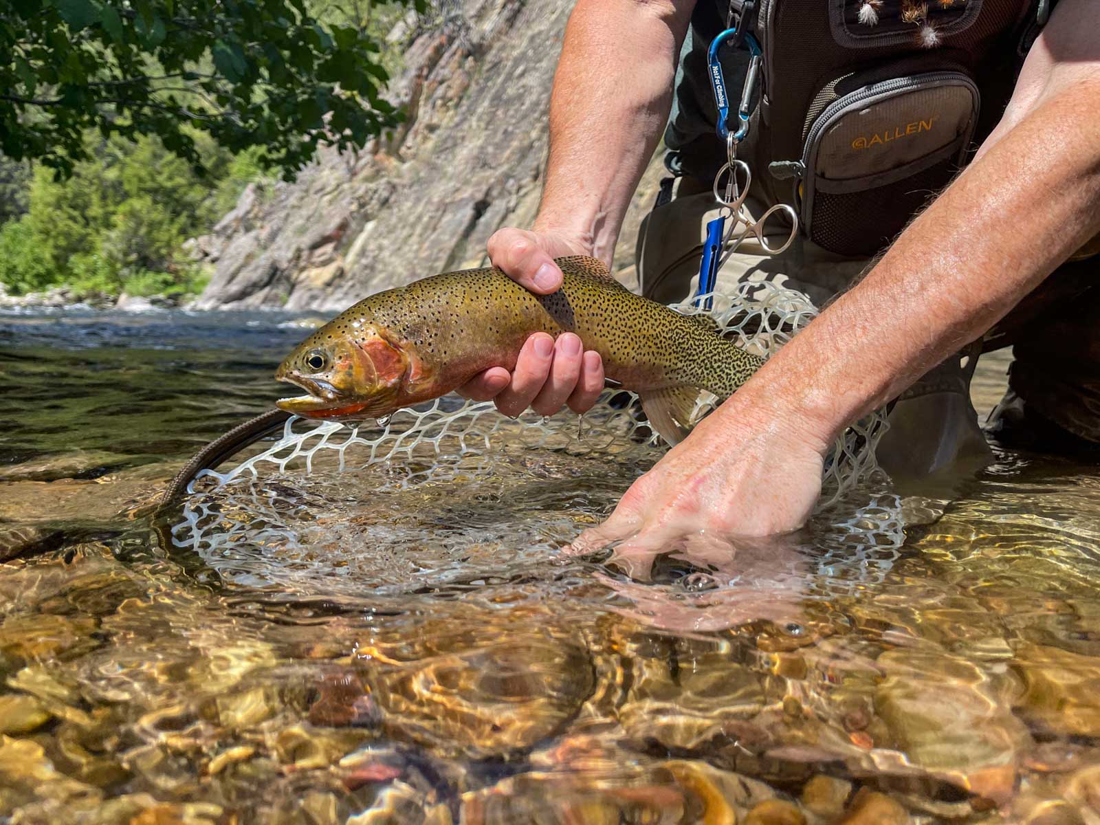 Twisted Fork at Rock Creek property picture 13 of 77