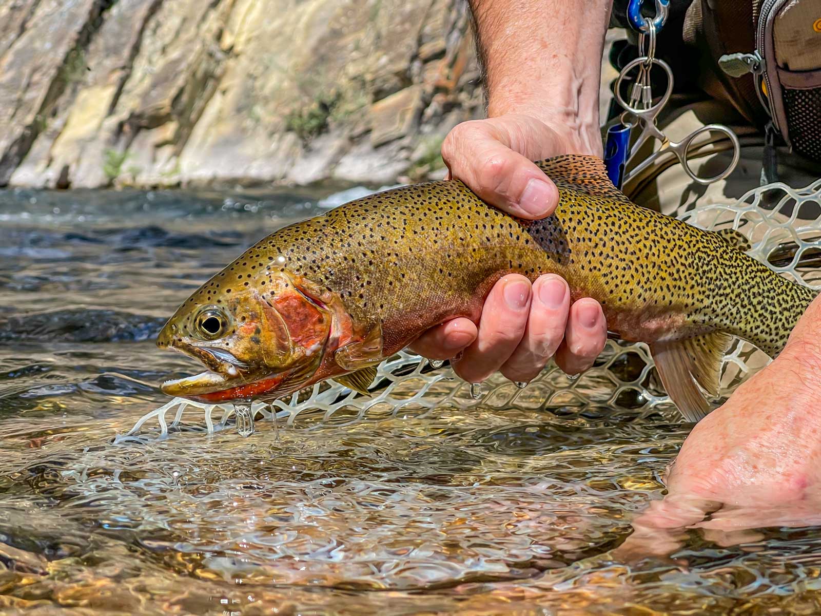 Twisted Fork at Rock Creek property picture 14 of 77