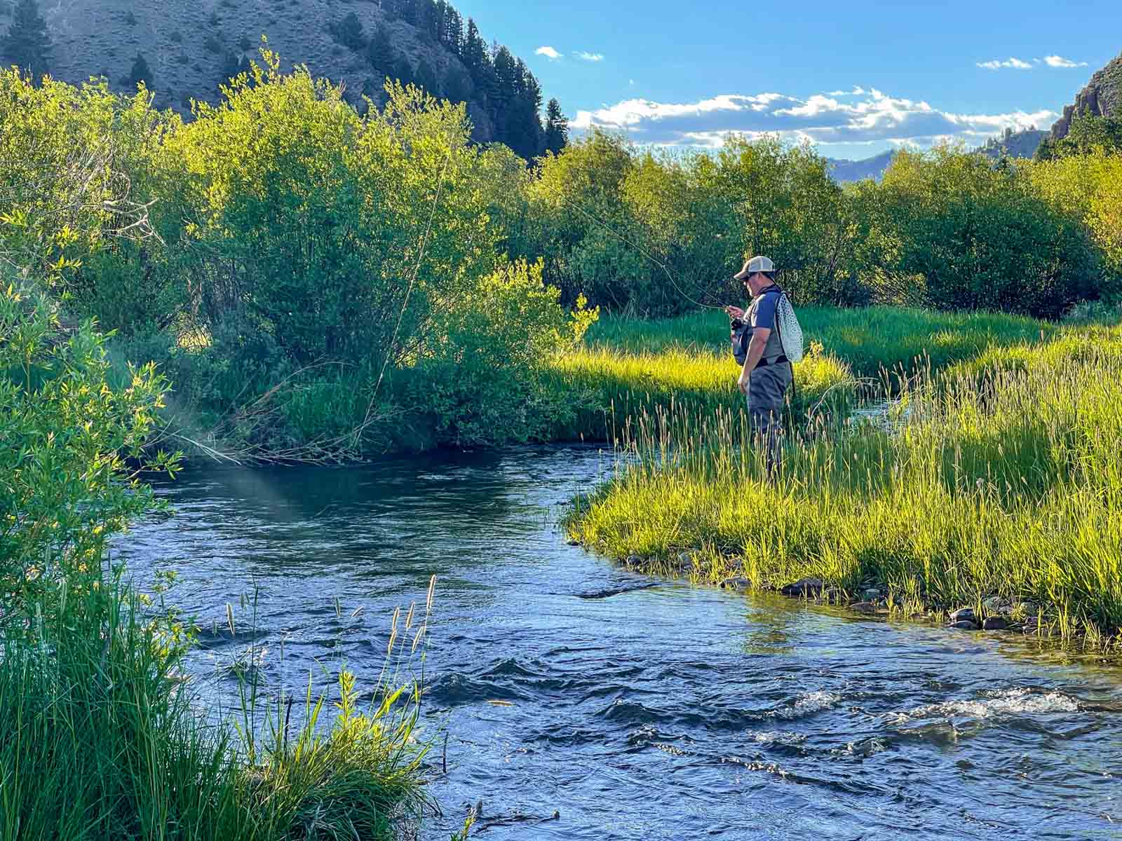 Twisted Fork at Rock Creek property picture 9 of 77