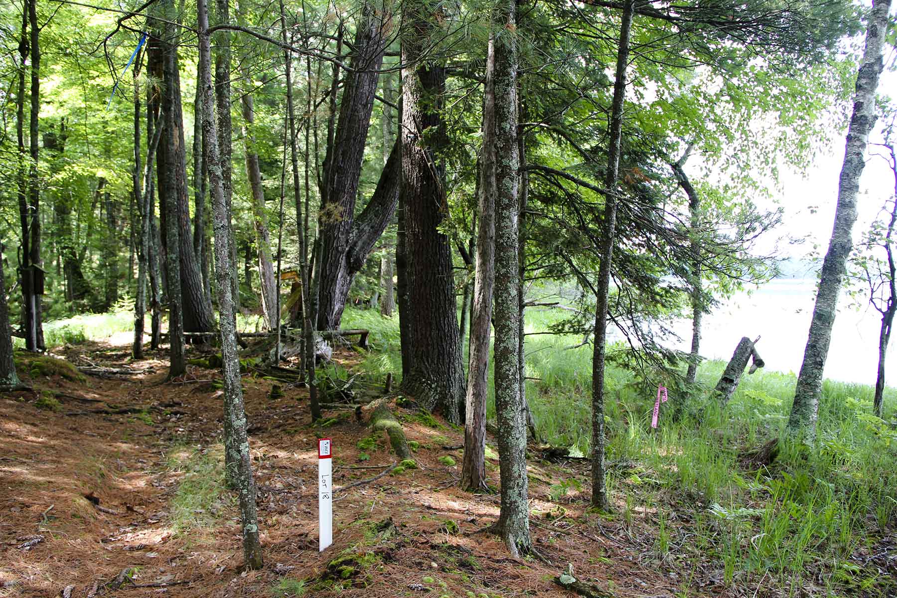 Eaglewatch property picture 12 of 52