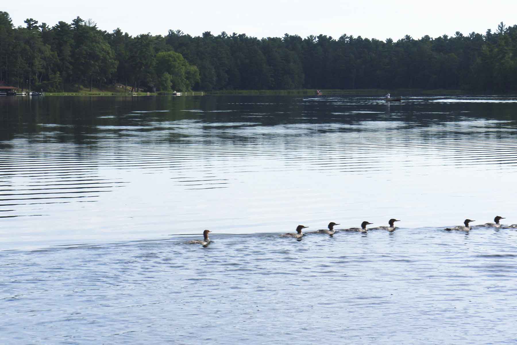 Eaglewatch property picture 26 of 52