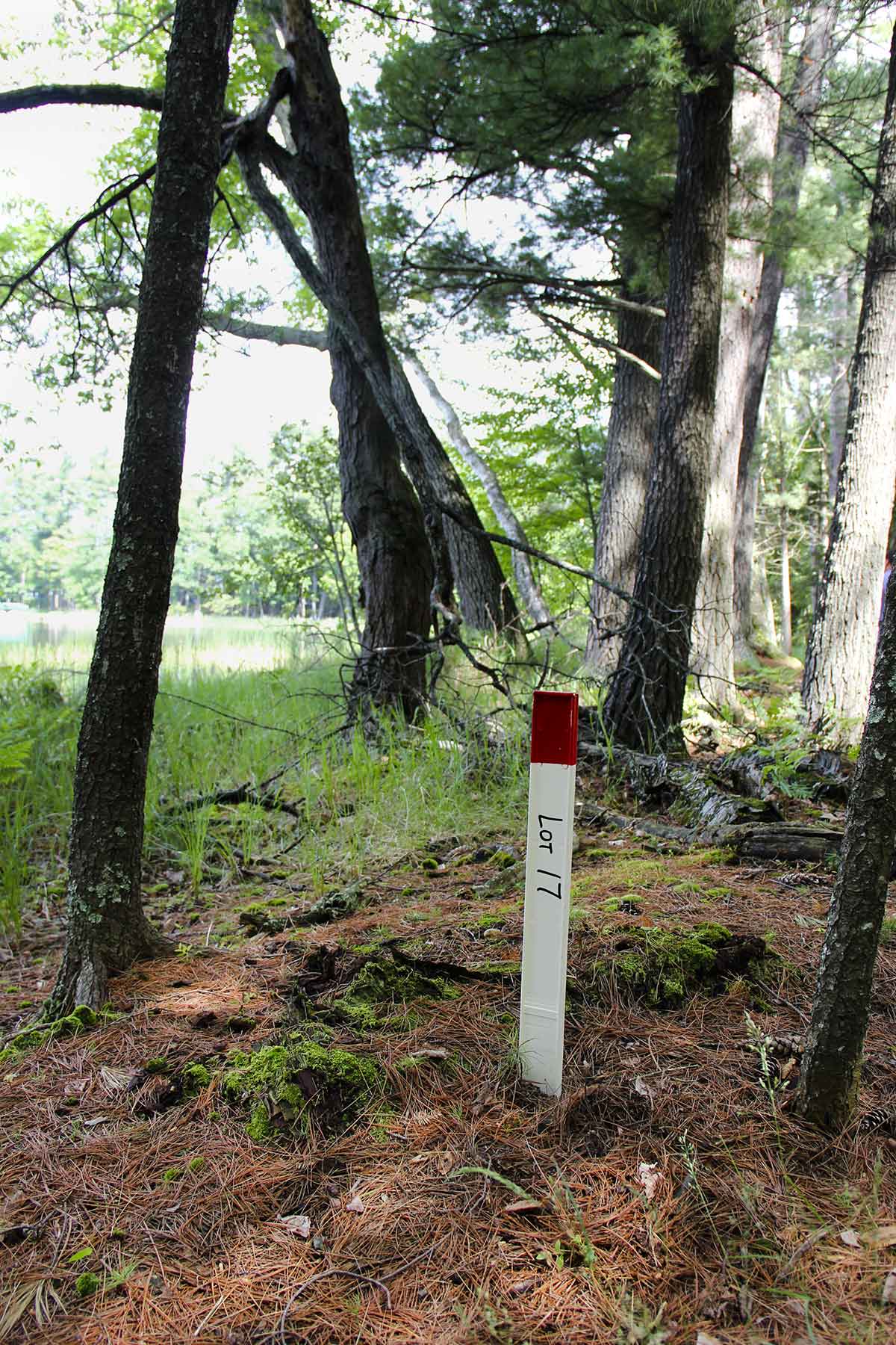 Eaglewatch property picture 29 of 52